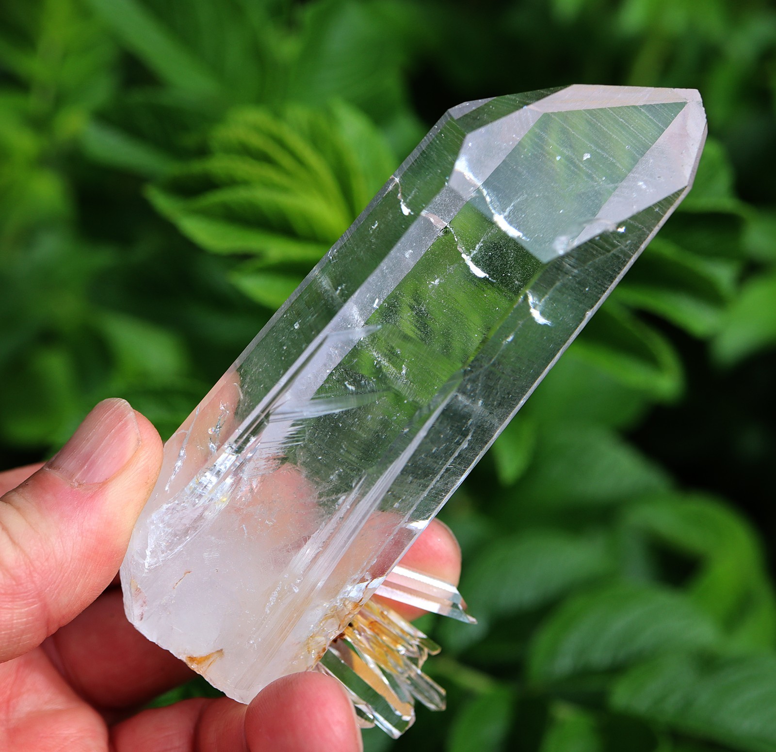 Colombian Quartz Crystal Point with a spray at the base, Natural. 4.6 inch