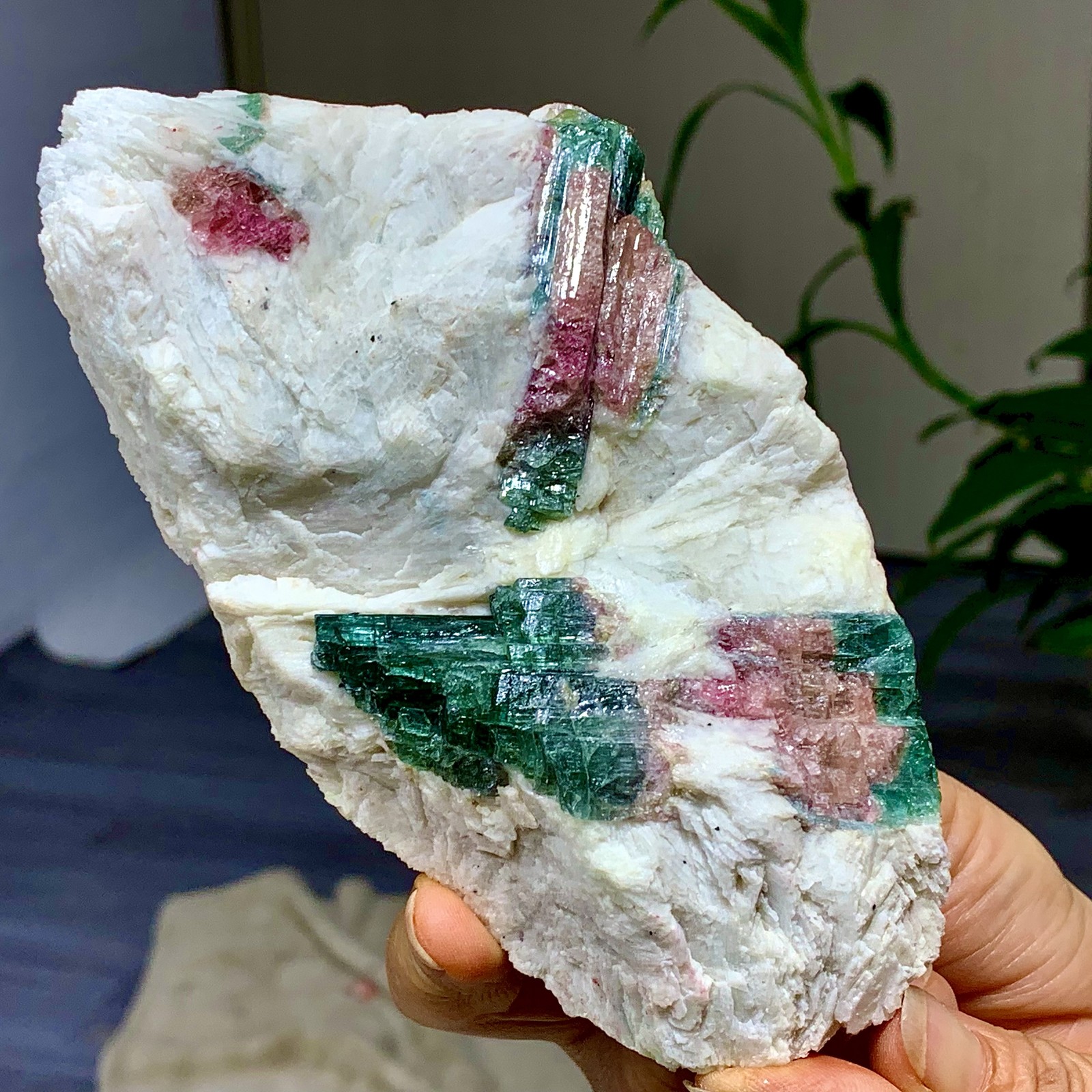 449G Natural pink-green tourmaline quartz crystal cluster mineral specimen