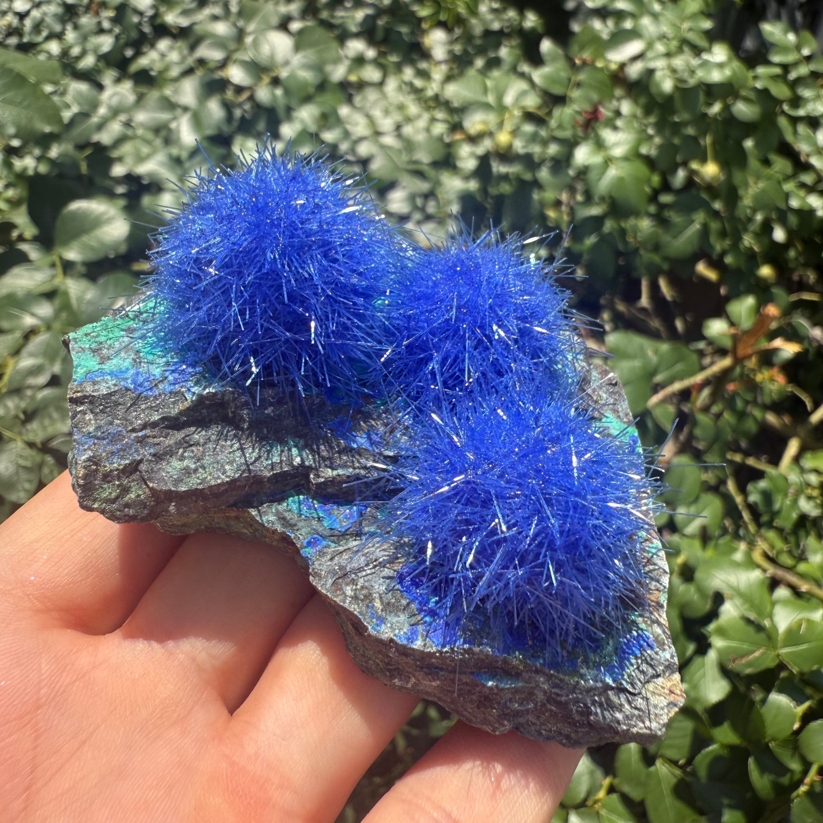 Raw Rough Dandelion Zeolite Cluster Blue Cave Quartz Crystal Specimen Decoration
