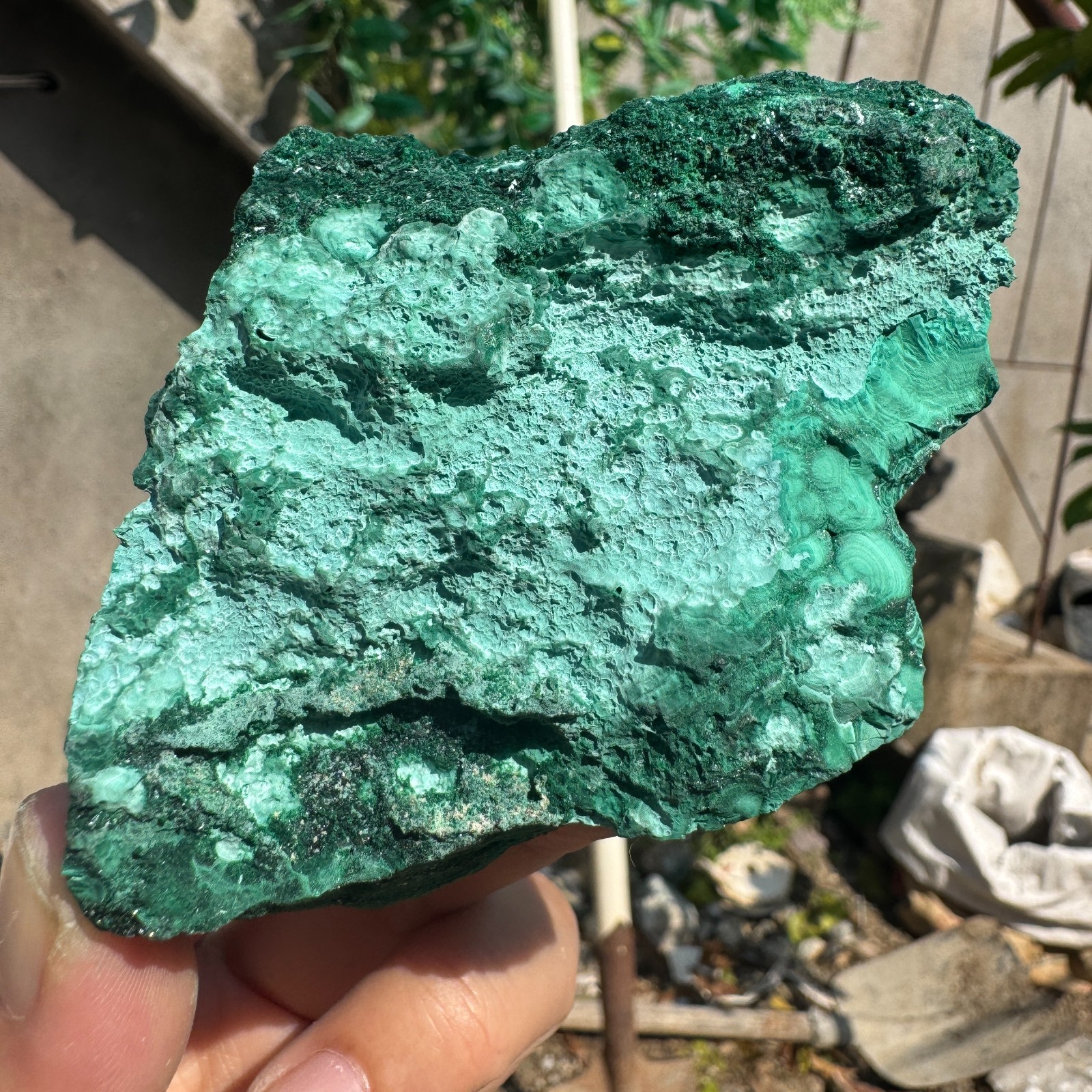 250G Natural Malachite crystal quartz Mineral Specimen Reiki congo