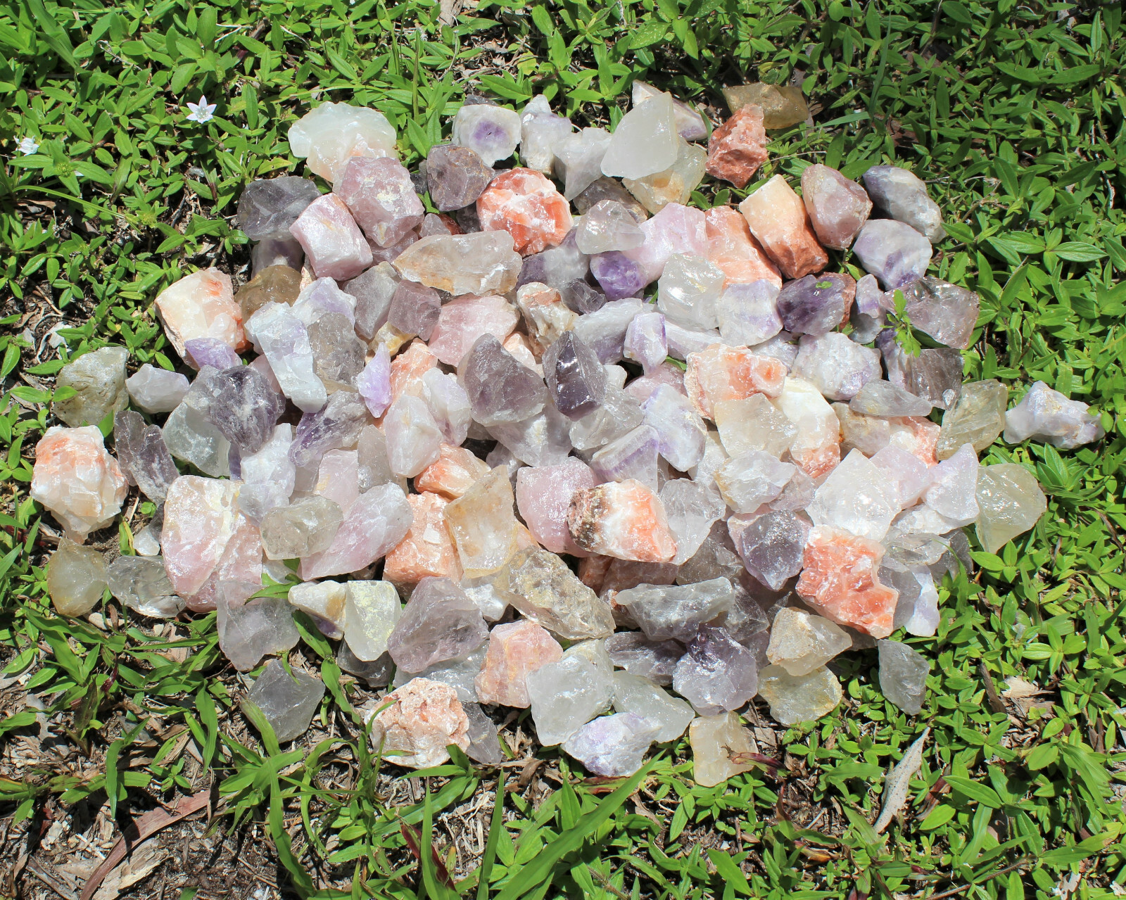 Garden Mix Assorted Rough Stones: 8 lb Bulk Clearance Box (Raw Natural Rocks)