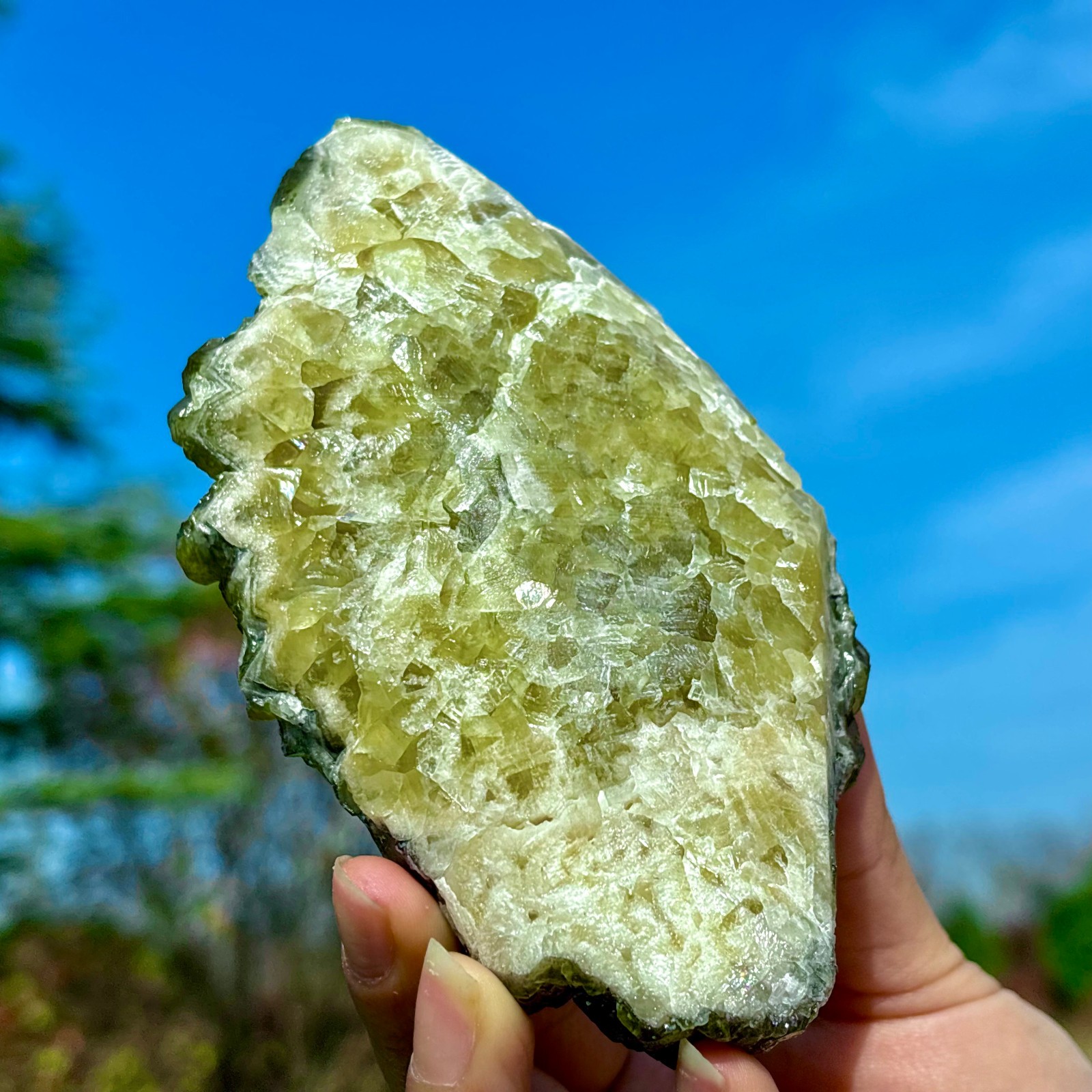 405G Natural Spherical Prehnite Crystal Gem Mineral Specimen&Crystallization