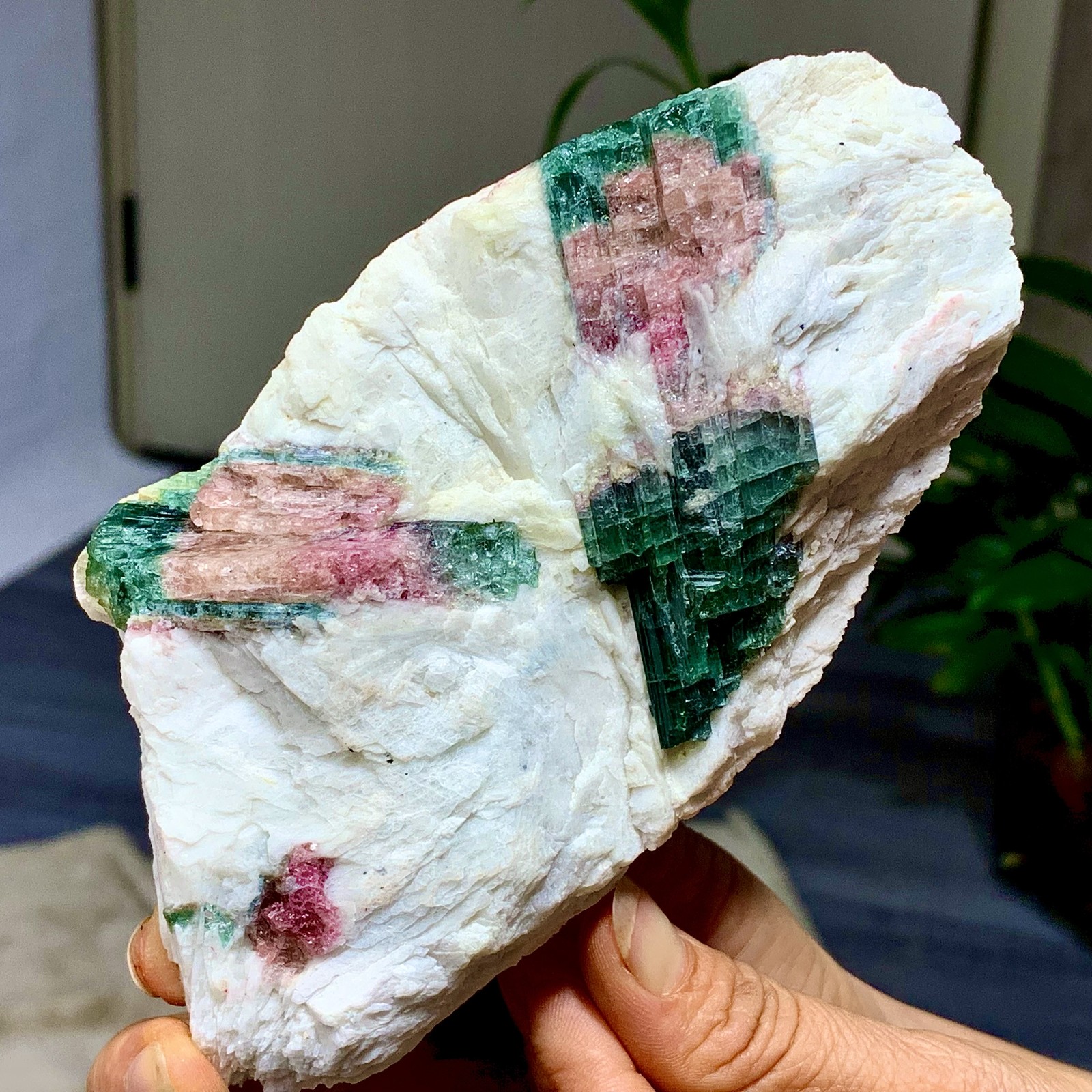 449G Natural pink-green tourmaline quartz crystal cluster mineral specimen