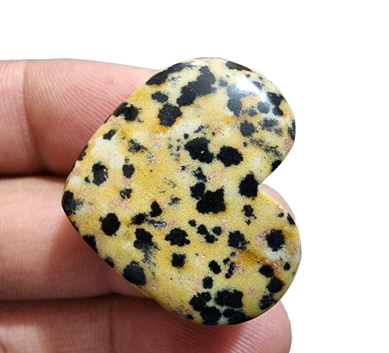 Top Quality Dalmatian Jasper Heart Shape 57 Crt Gemstone Cabochon Jewelry Making
