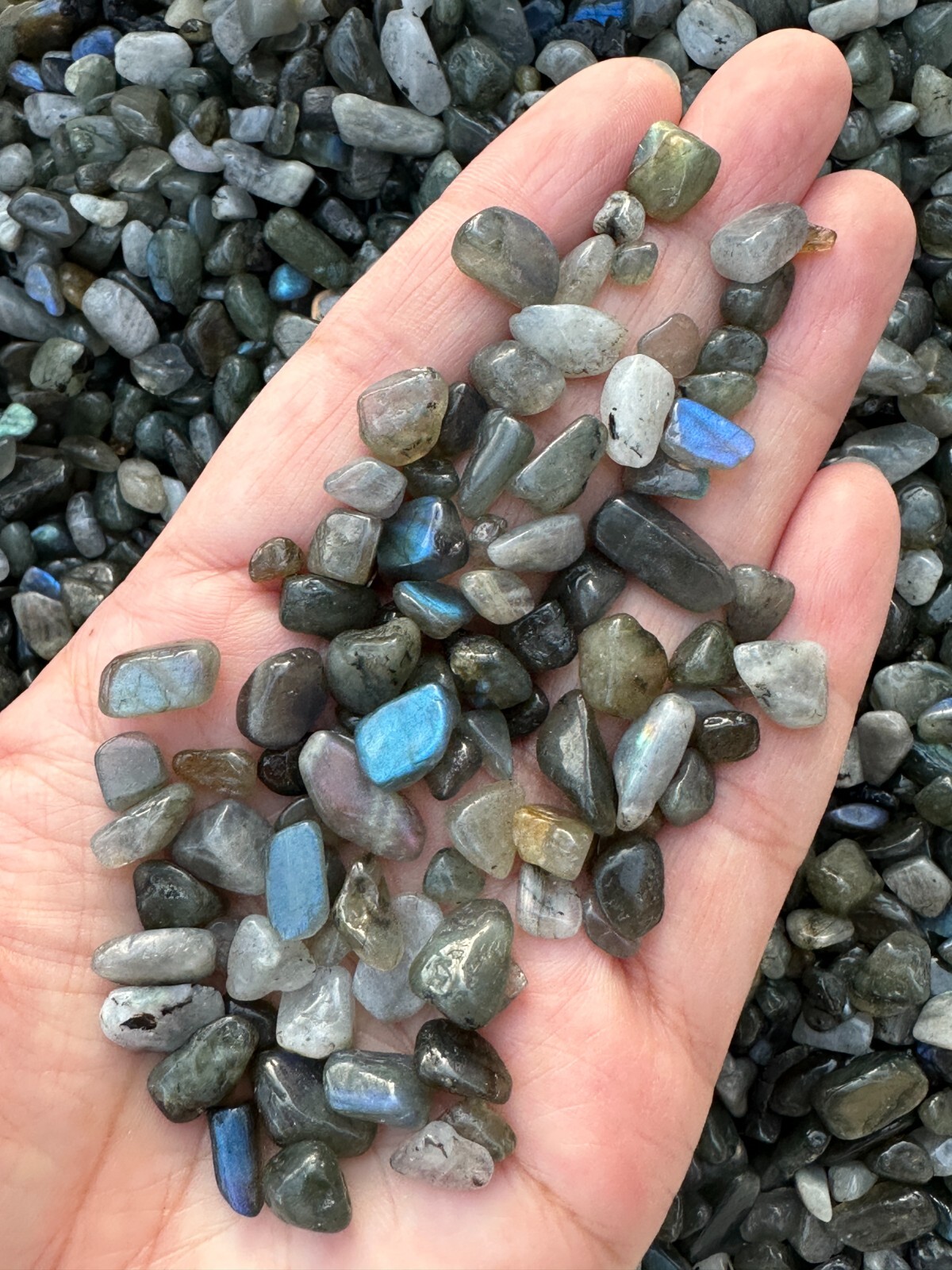 Grade A++ Blue Labradorite Semi Tumbled Gemstone Chips 5- 15mm, Wholesale Lots