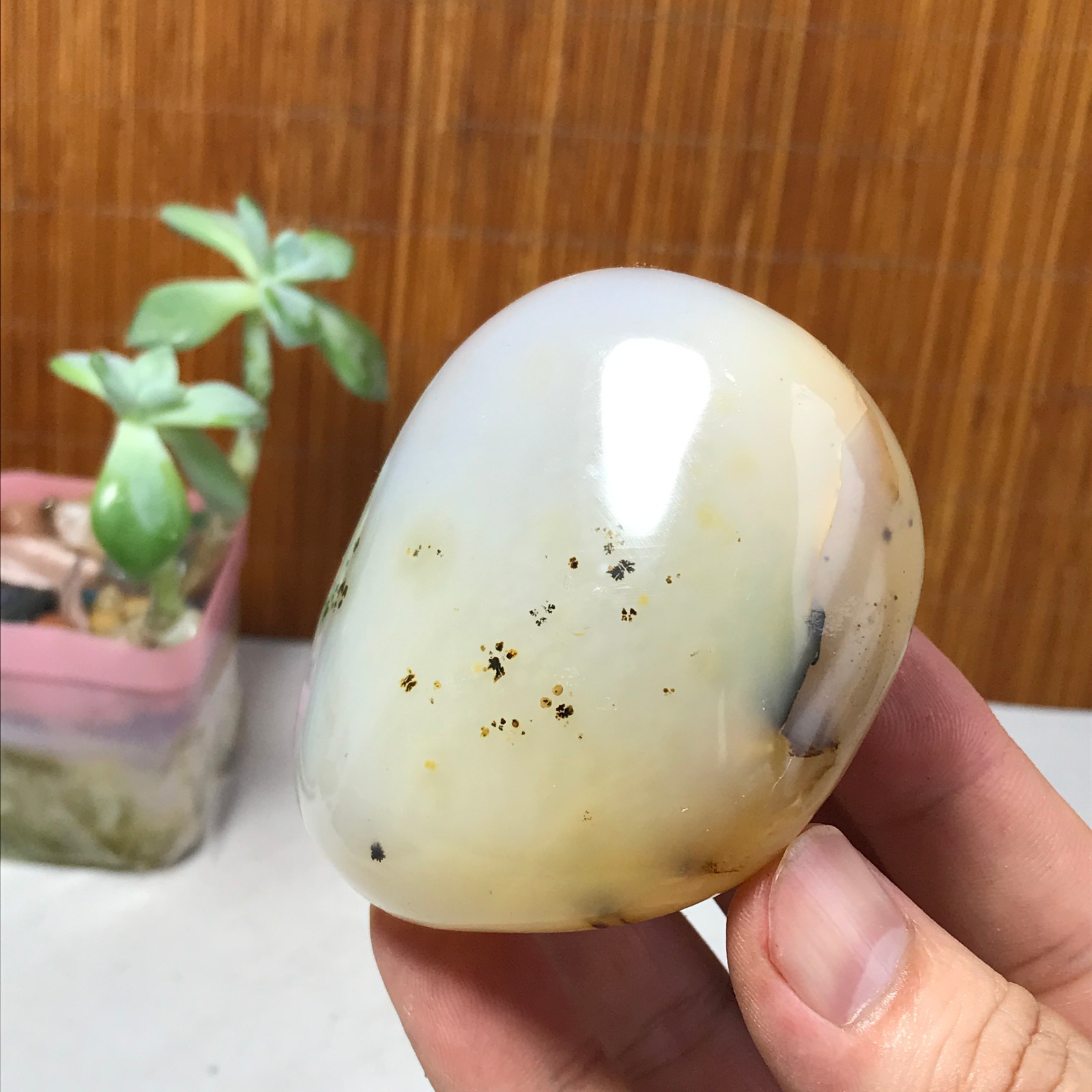 71mm Natural aquatic plants agate pretty Crystal specimens 210g A1637