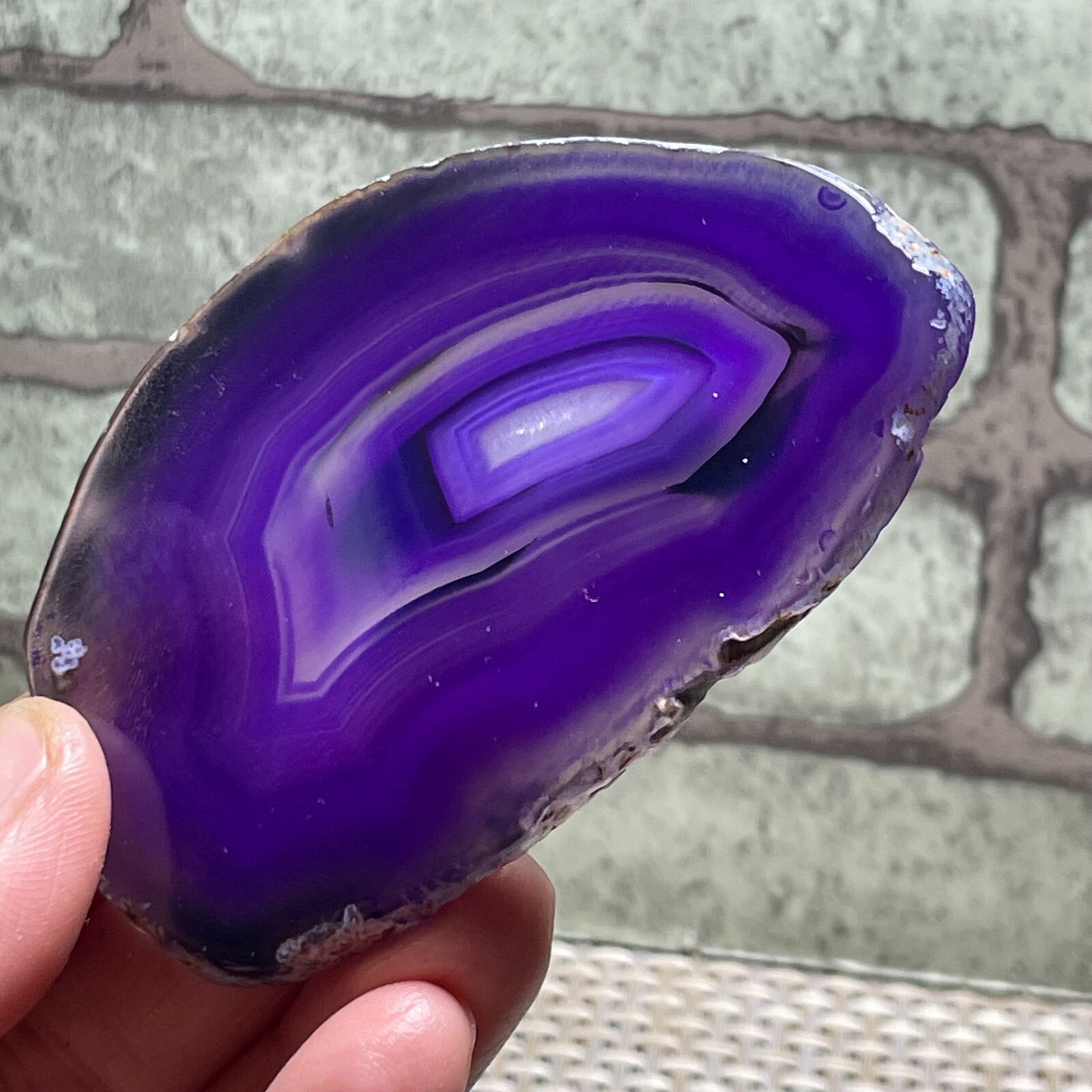 Bedrock Natural Agate Slice Coasters Display Table Geode Decor 48g F100