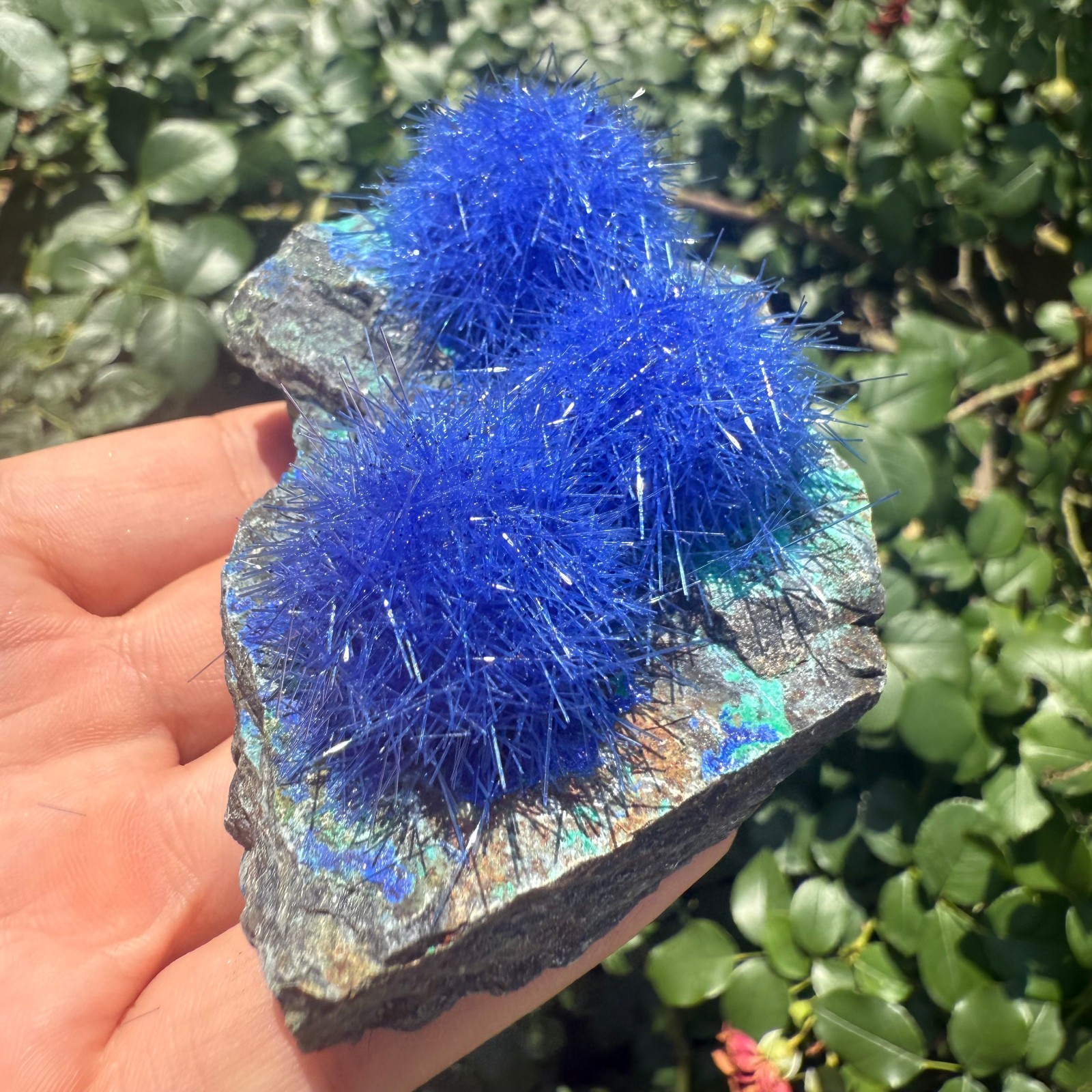 Raw Rough Dandelion Zeolite Cluster Blue Cave Quartz Crystal Specimen Decoration