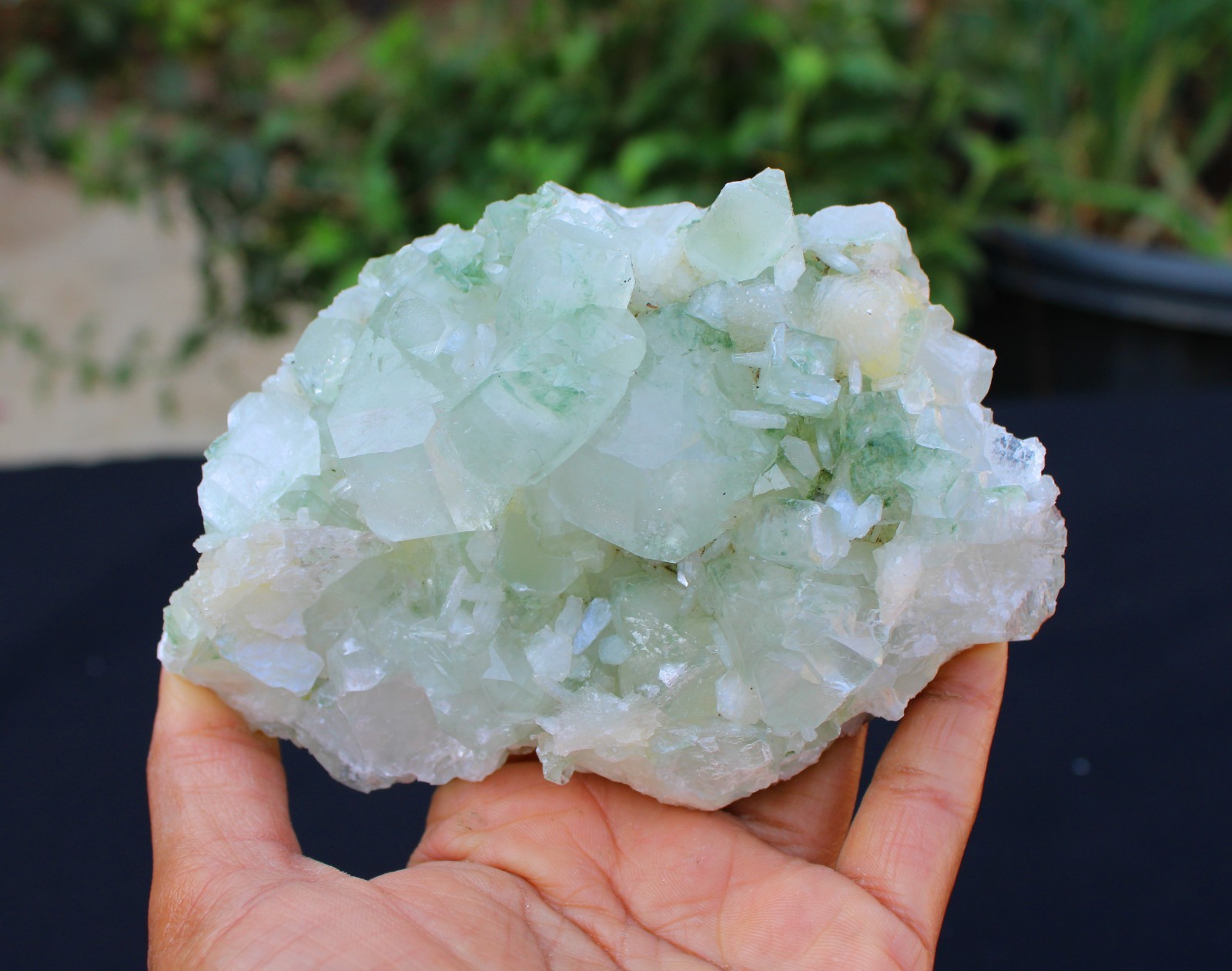 Green Apophyllite Crystals w/ Stilbite Formation Minerals Specimen
