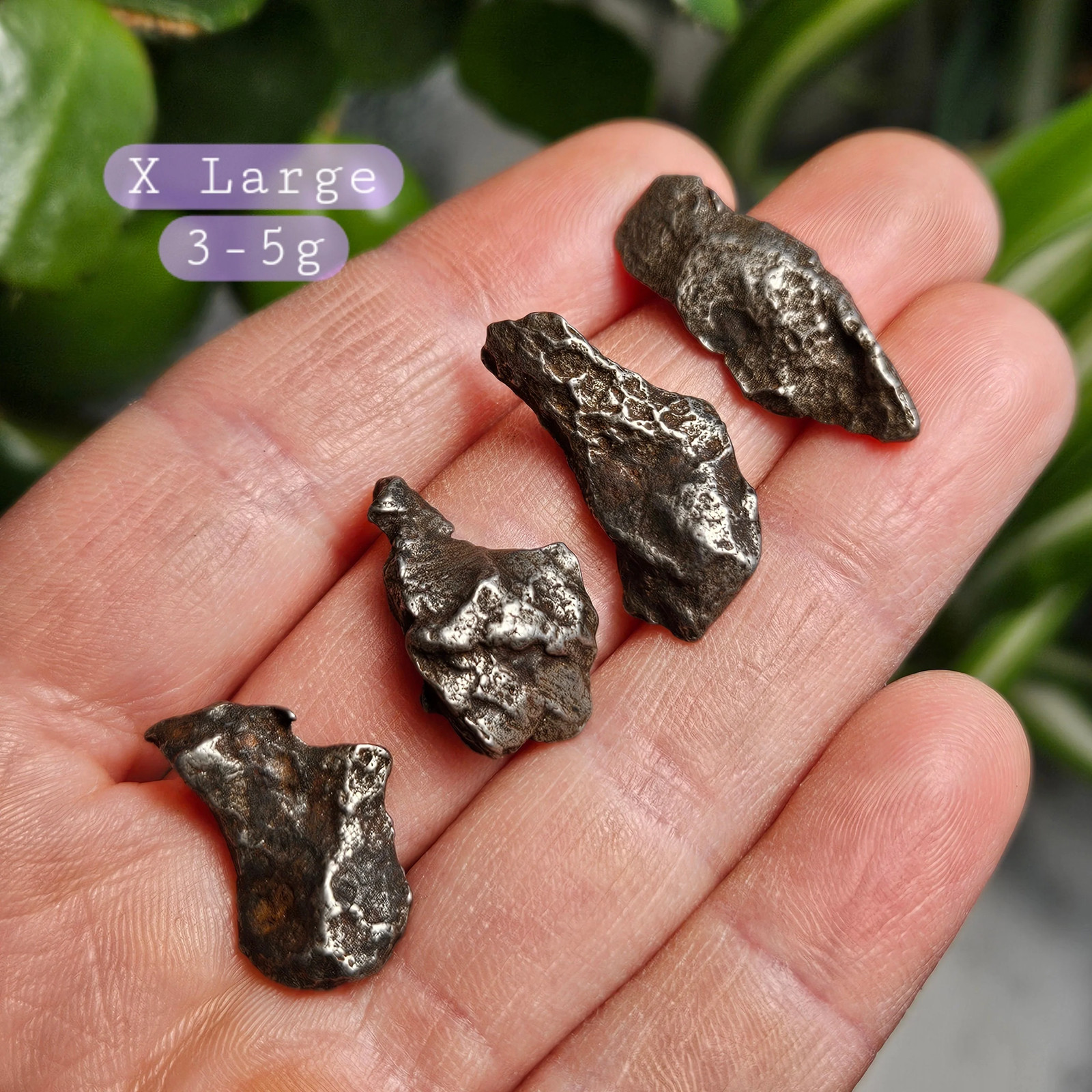 Meteorite Specimen, Genuine Sikhote-Alin Meteorite)
