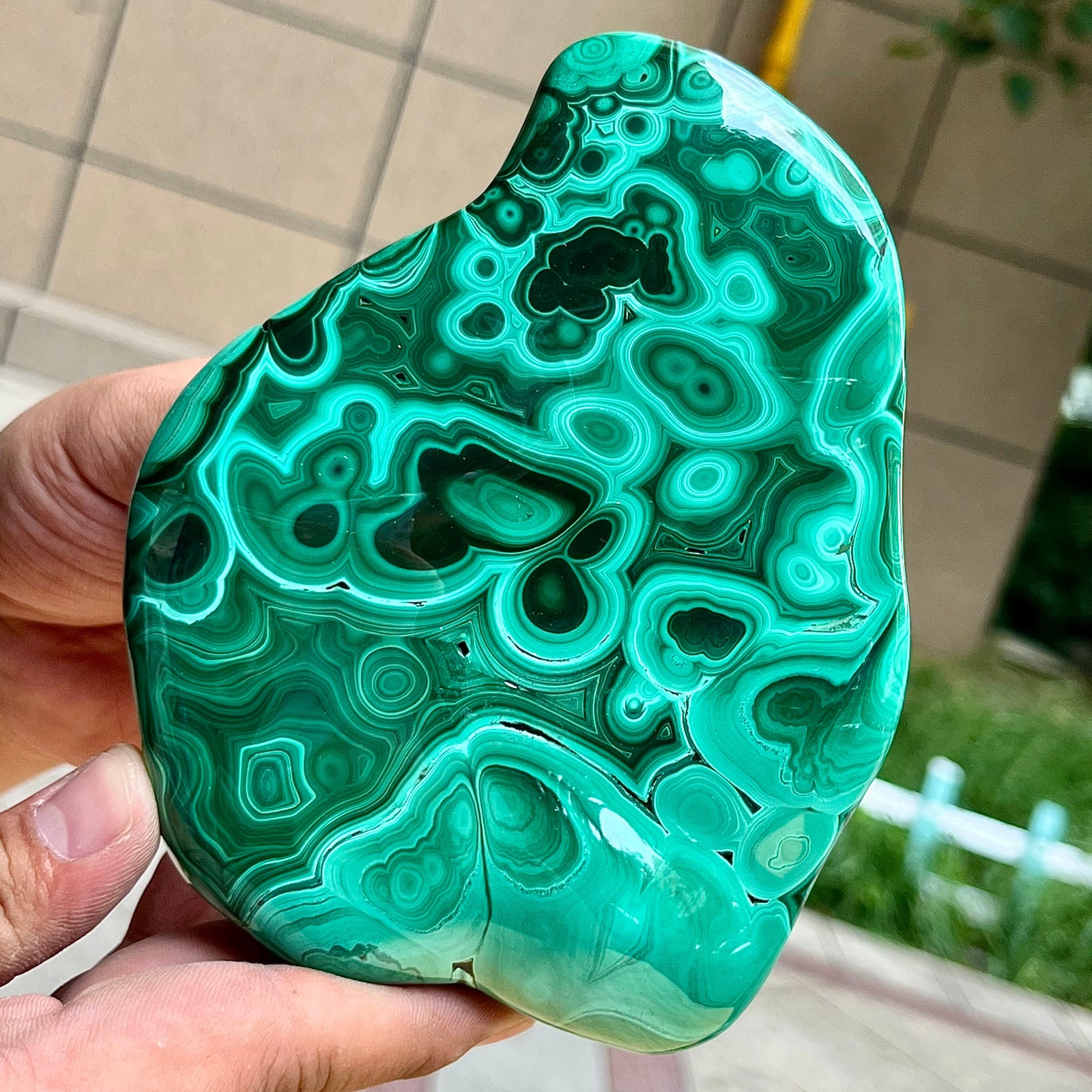 2.2 lb Malachite Quartz Freeform One Side Polished Natural Crystal Specimen