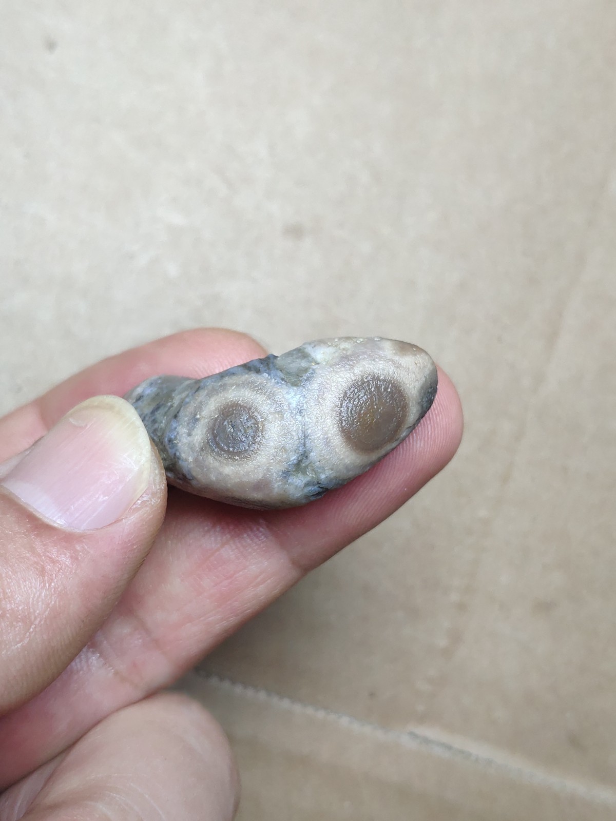 36mm Natural Gobi Agate eye agate stone collection Landscape stone