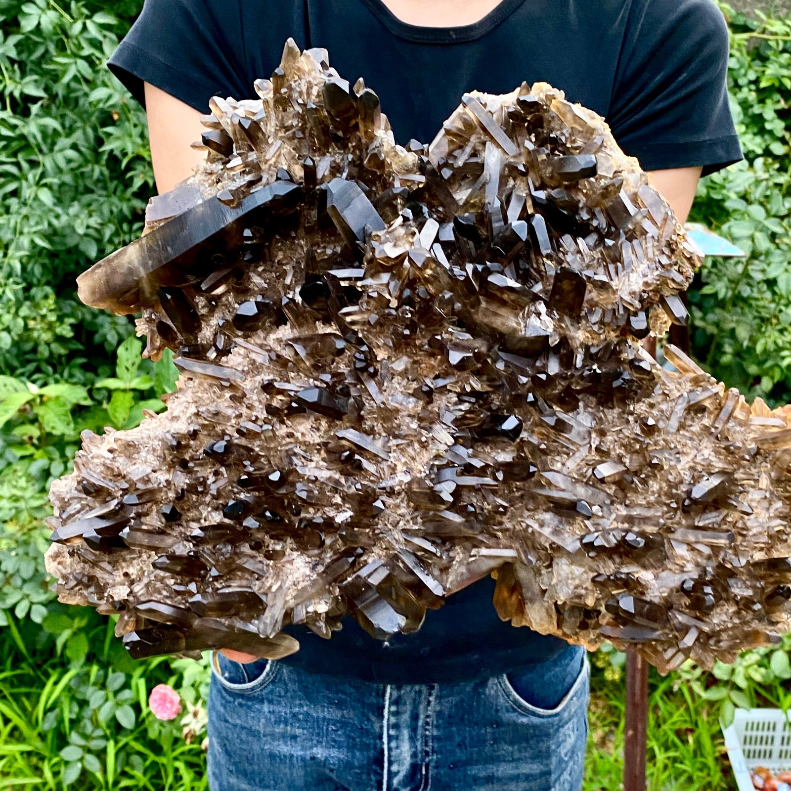 10.8LB Natural Tea black Crystal quartz Cluster Mineral Specimen Healing reiki