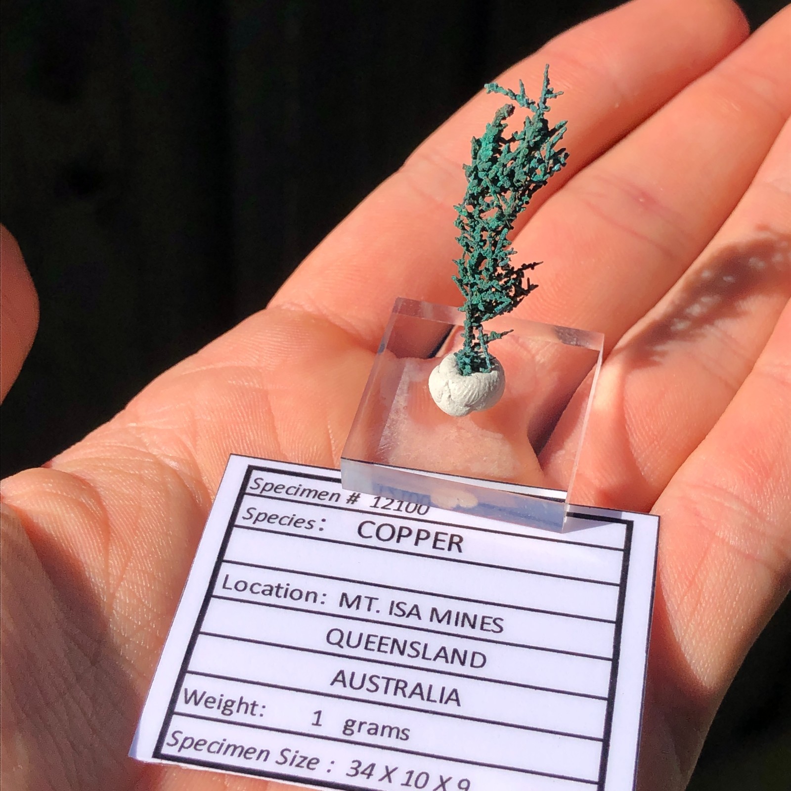3.4cm Copper Wire Crystals with Malachite Patina from Mount Isa, QLD, Australia