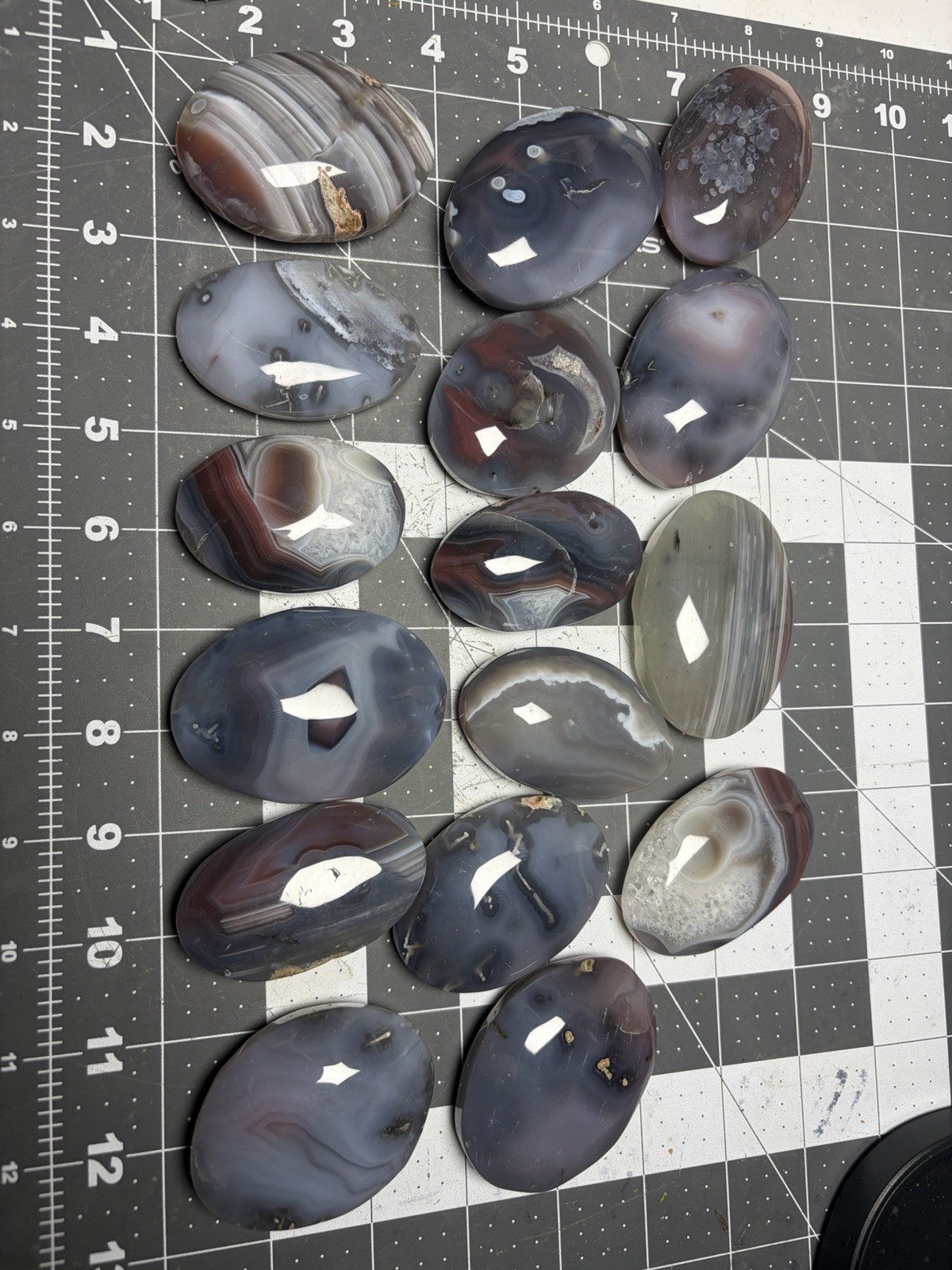 Mozambique Swazi Agate Palm Stones Banding Lot 3lbs