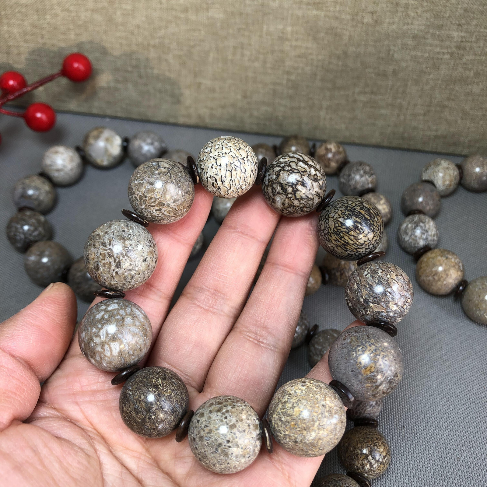 6Pcs Natural polished dinosaur bone bracelets specimen Madagascar 17-18-19mm