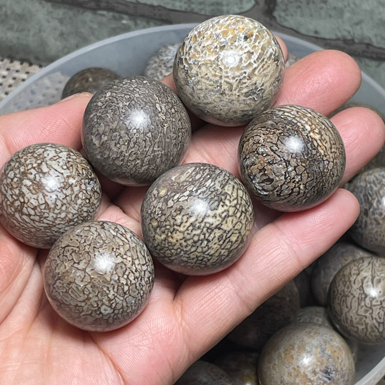 6pc 27-23mm Awesome! Beautiful stone polished Ball Sphere collection Madagascar