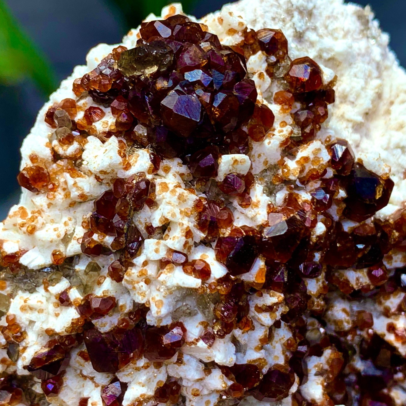 205G Natural Garnet with rock Gorgeous rough raw Crystal Mineral Specimen D32