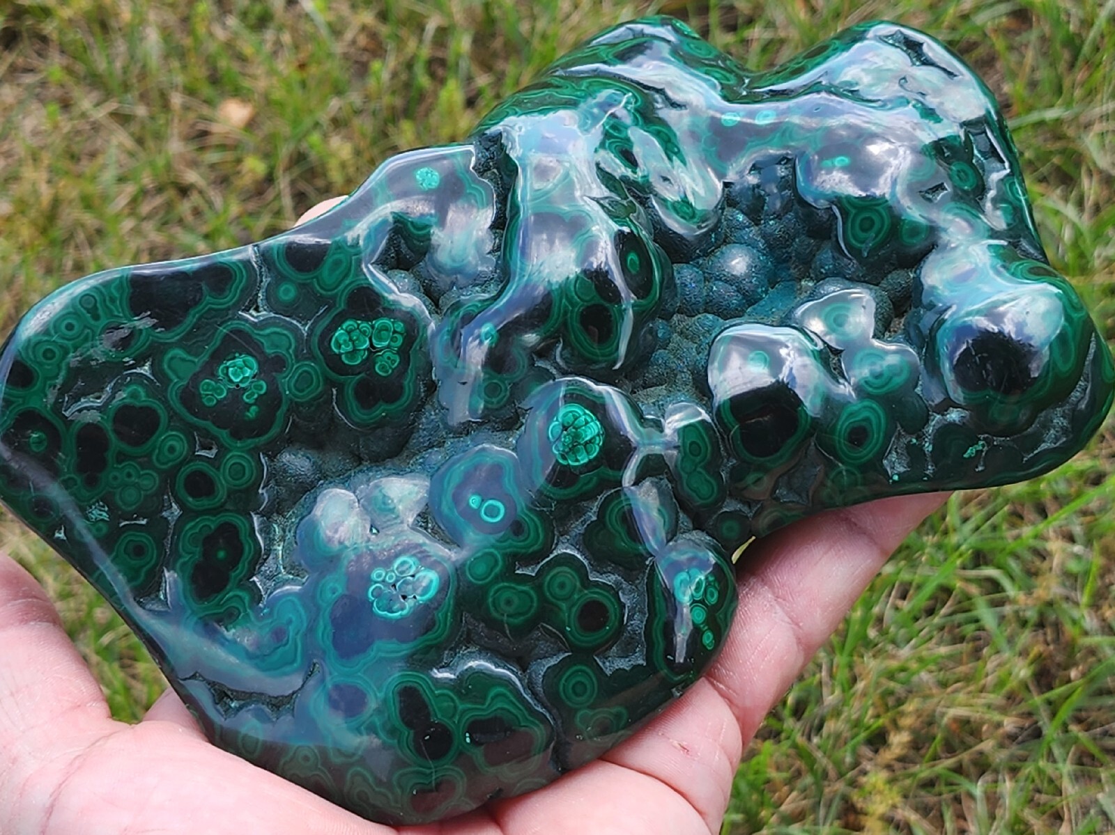 GORGEOUS,LG POLISHED MALACHITE,CONGO