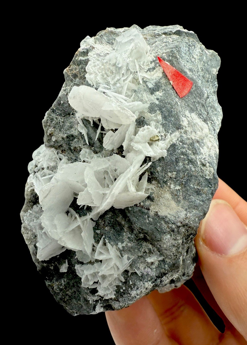 Fluorite w/ Calcite & Galena Crystals : Tacconis Mine . Sardinia , Italy 🇮🇹