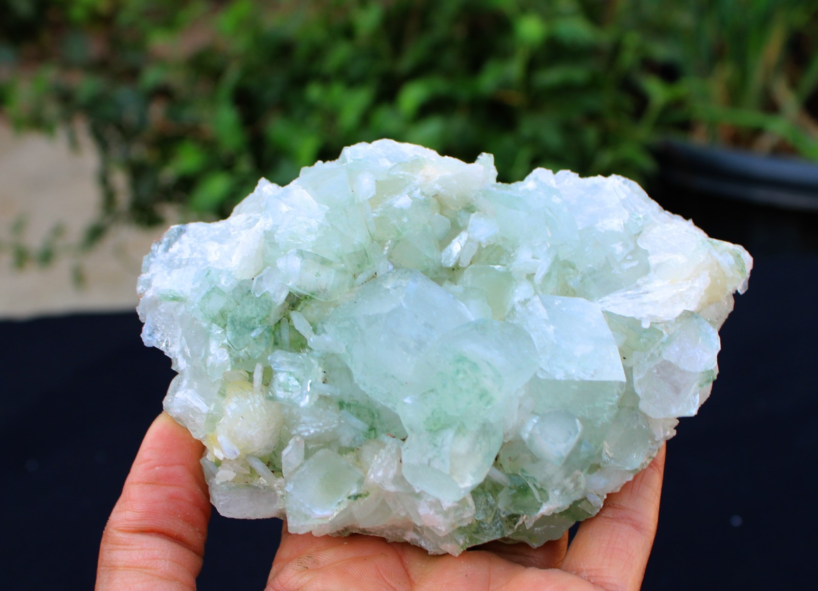 Green Apophyllite Crystals w/ Stilbite Formation Minerals Specimen