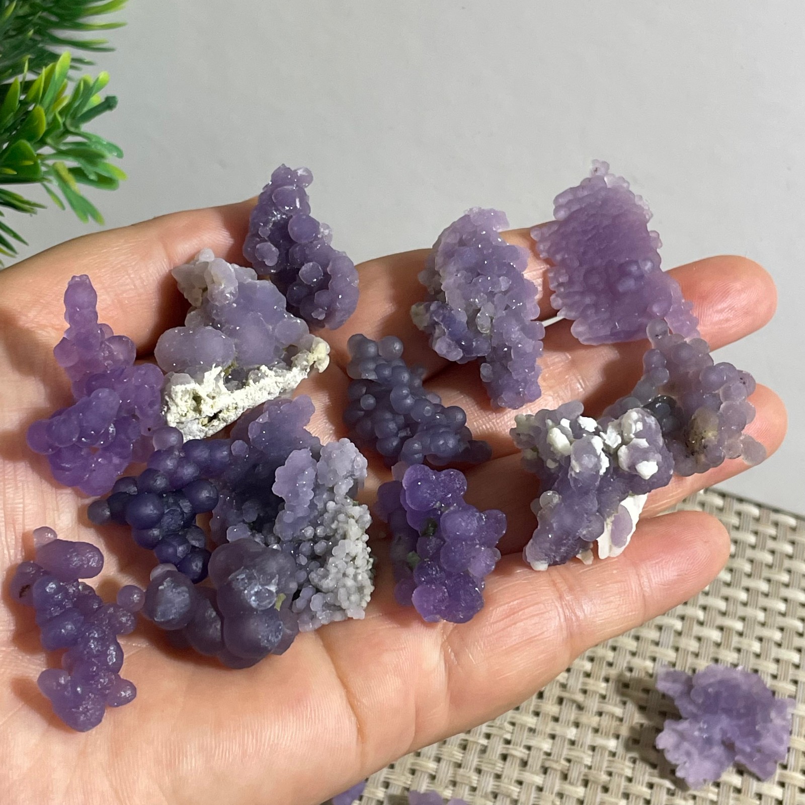 71g Purple stone, grape agate, quartz crystal, granular mineral 12pcs