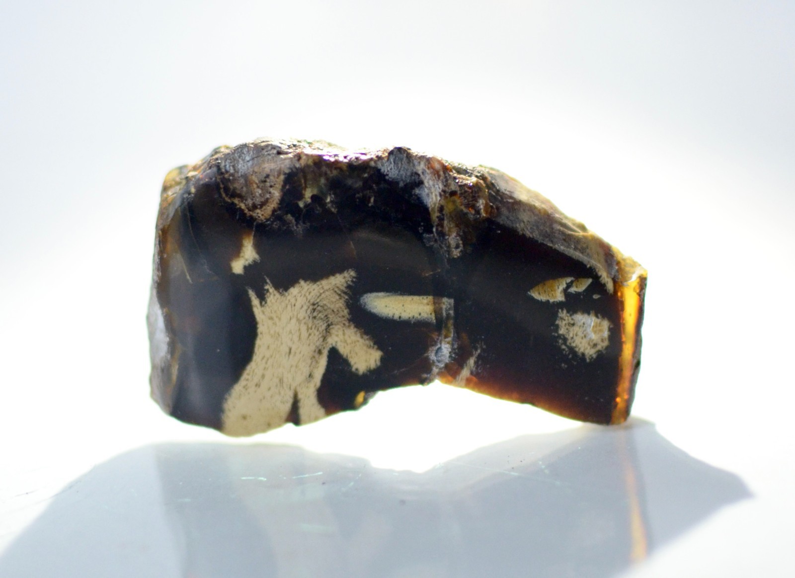 Polished Blue Amber | UV Reactive Amber Indonesia B116