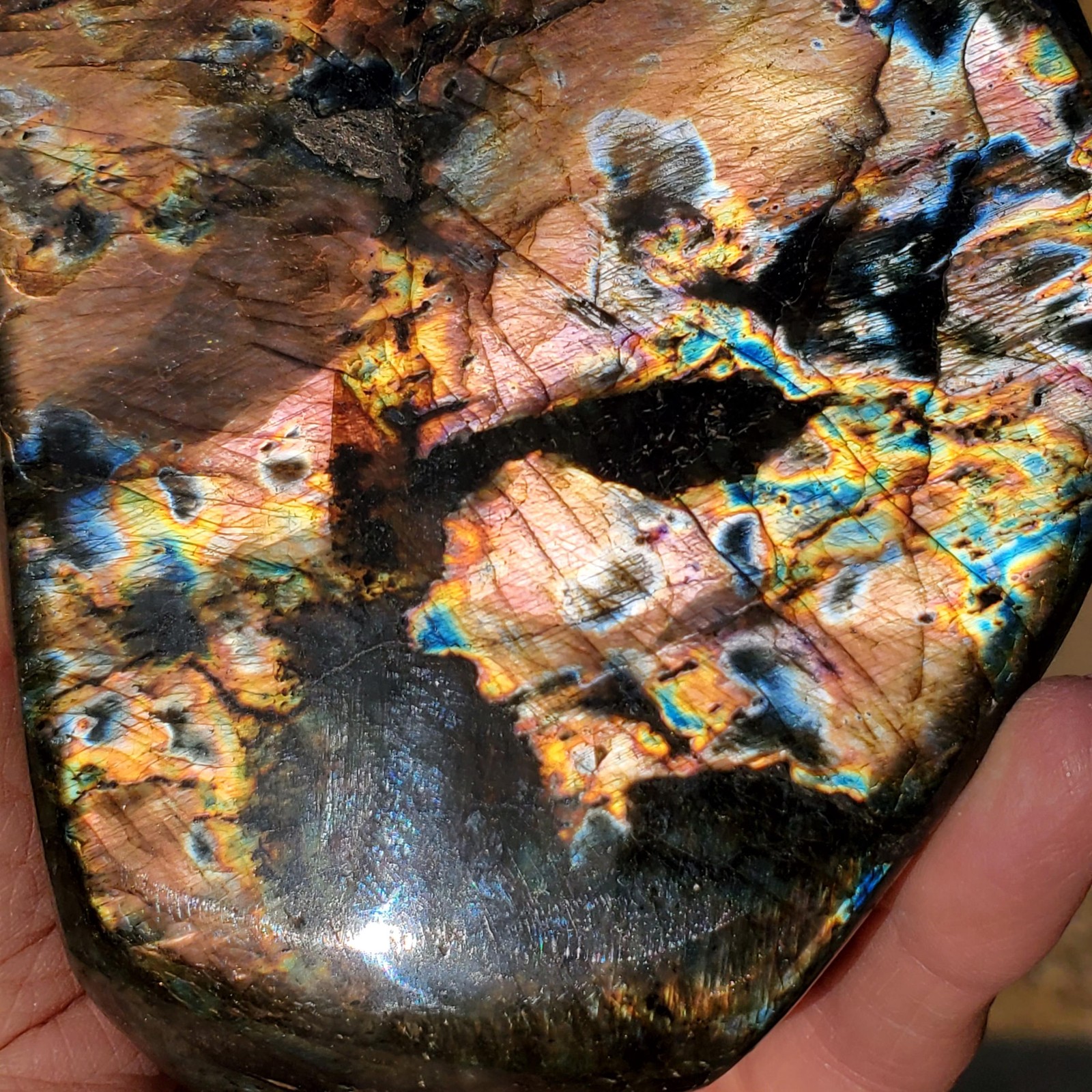 Labradorite Spectrolite “Stained Glass” Crystal Slab Freeform 700 grams