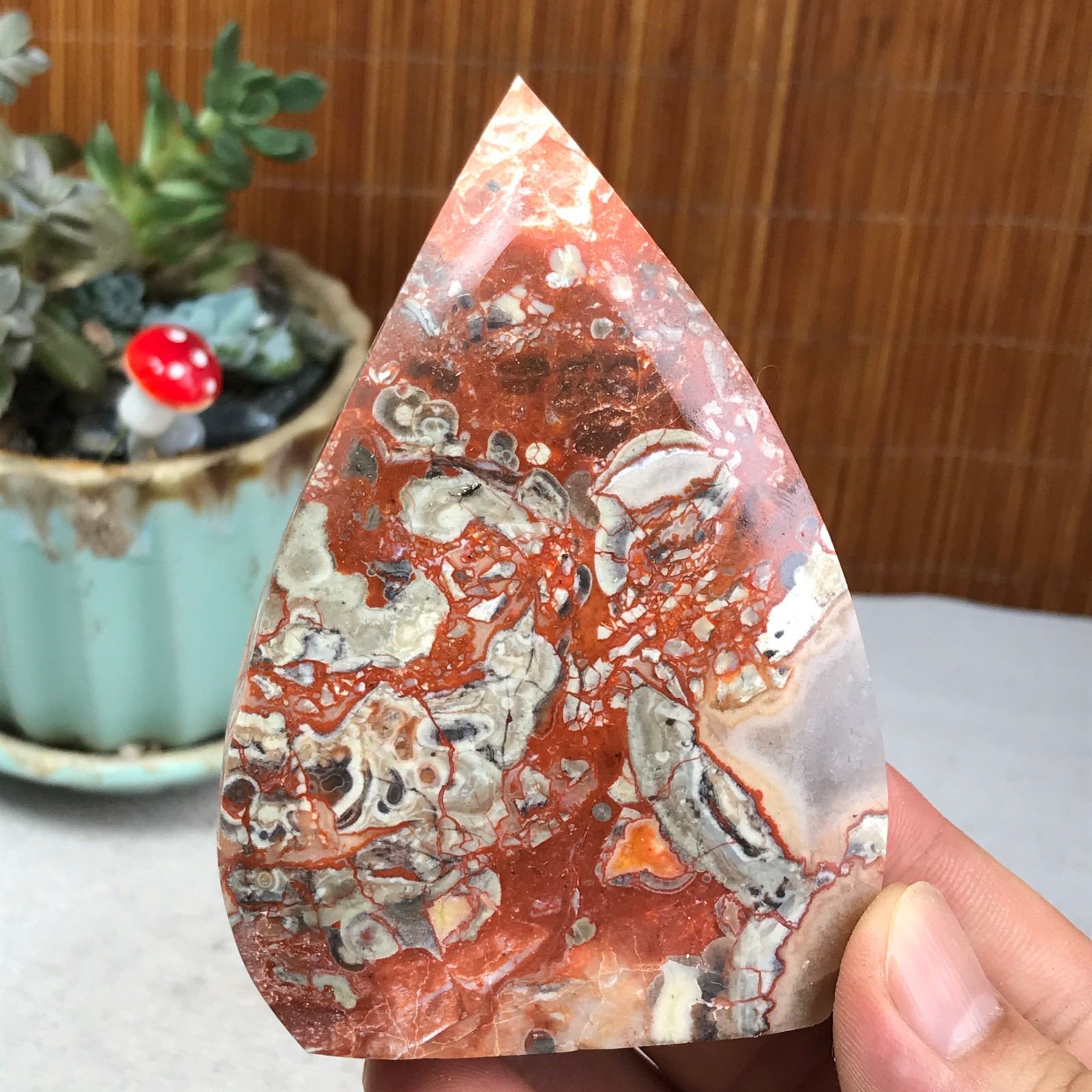 Natural money Mexico agate hand carve leaf Crystal Specimen free standing A6257