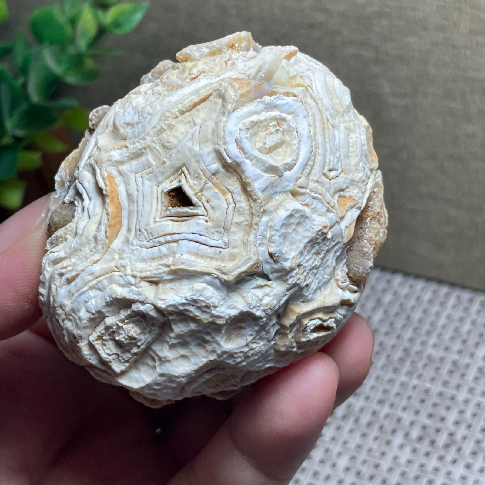 Beautiful ! GoBi agate eyes stone rough Crystal Stone Specimen Viewing 146g C55