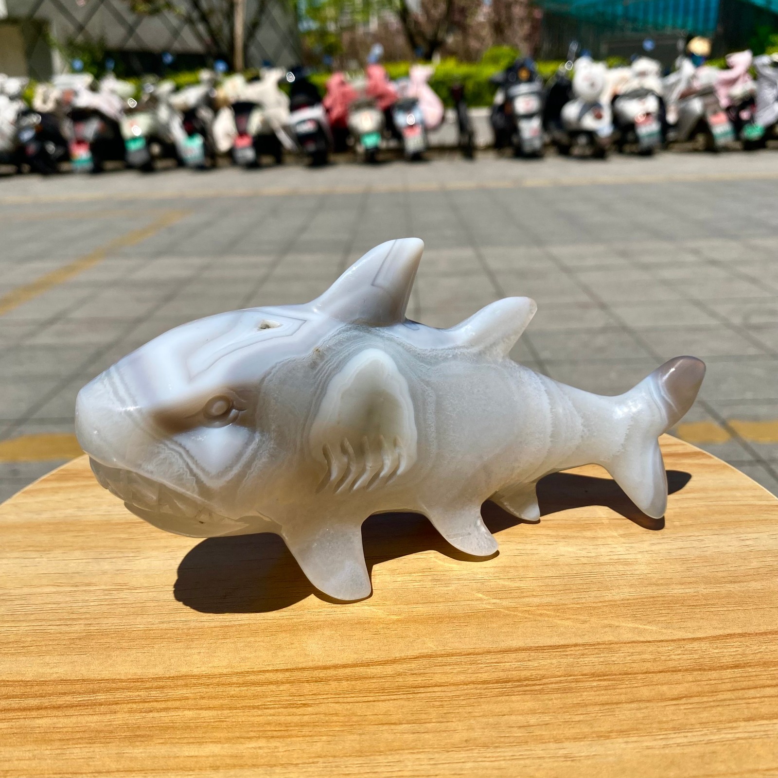 1.41LB Natural Agate Hand Carved Shark Figurine, Ocean Power Crystal Statue
