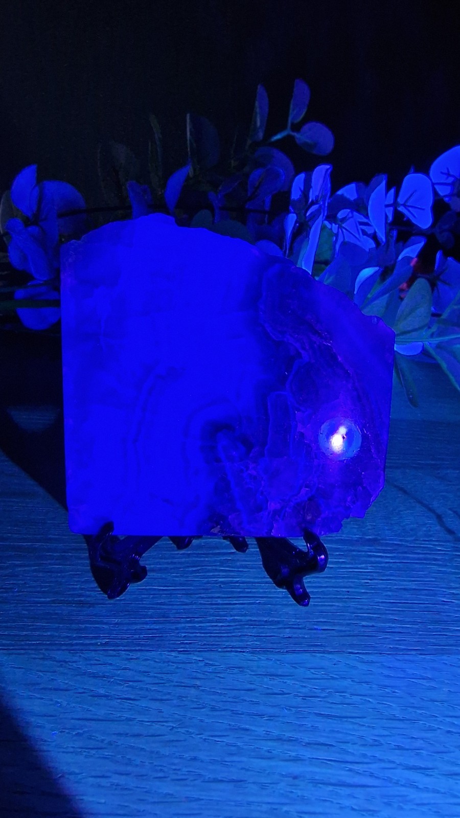 Rainbow Fluorite Crystal Slab Raw Specimen 205g UV Reactive Free Stand