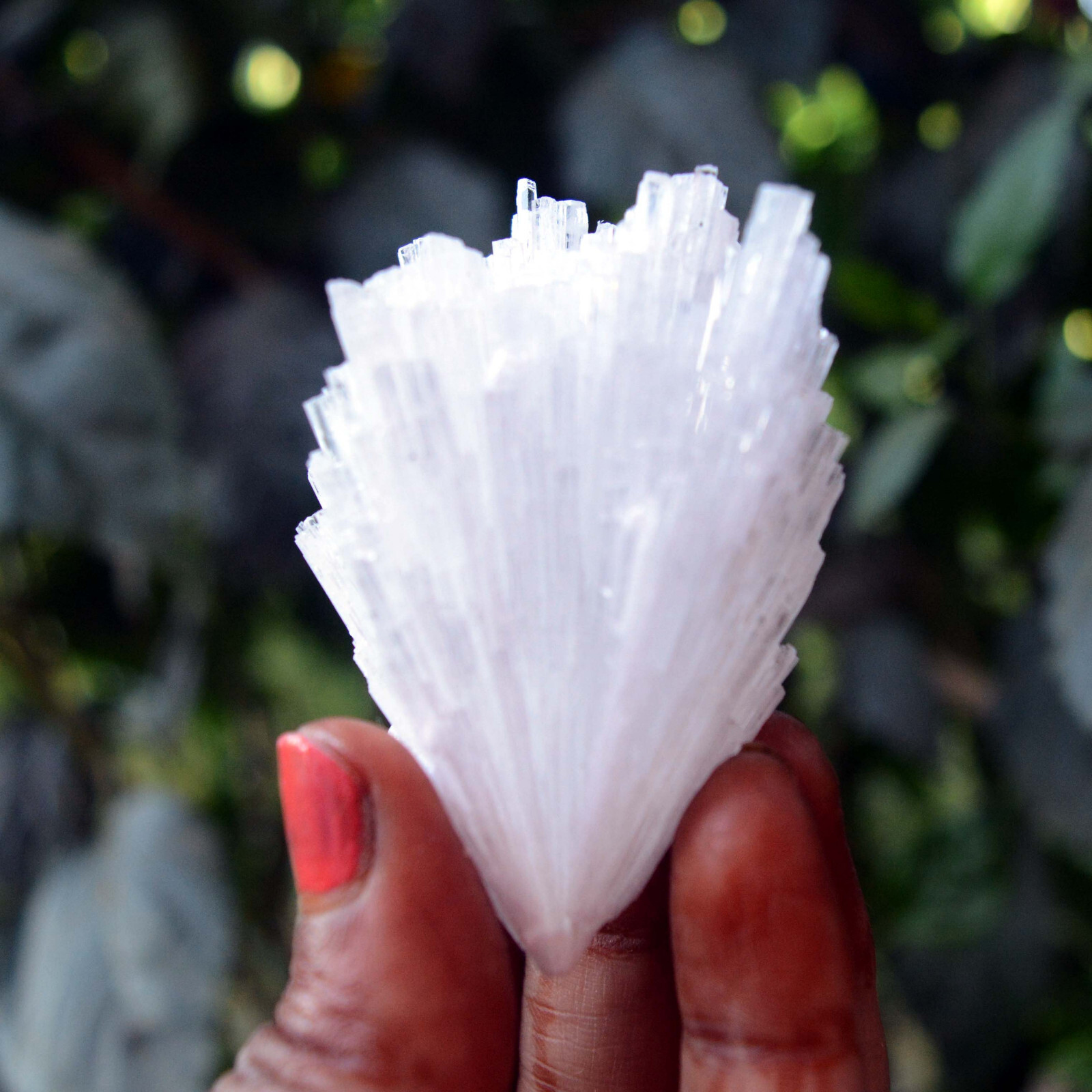 scolecite spray minerals specimen j-7