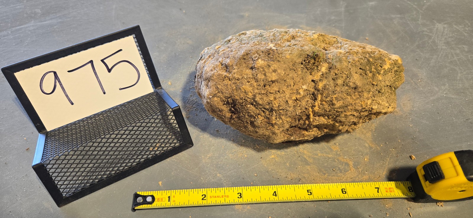 6.5″ Large Pumice Stone Floating Natural Rock Carnivorous Succulent Garden #975