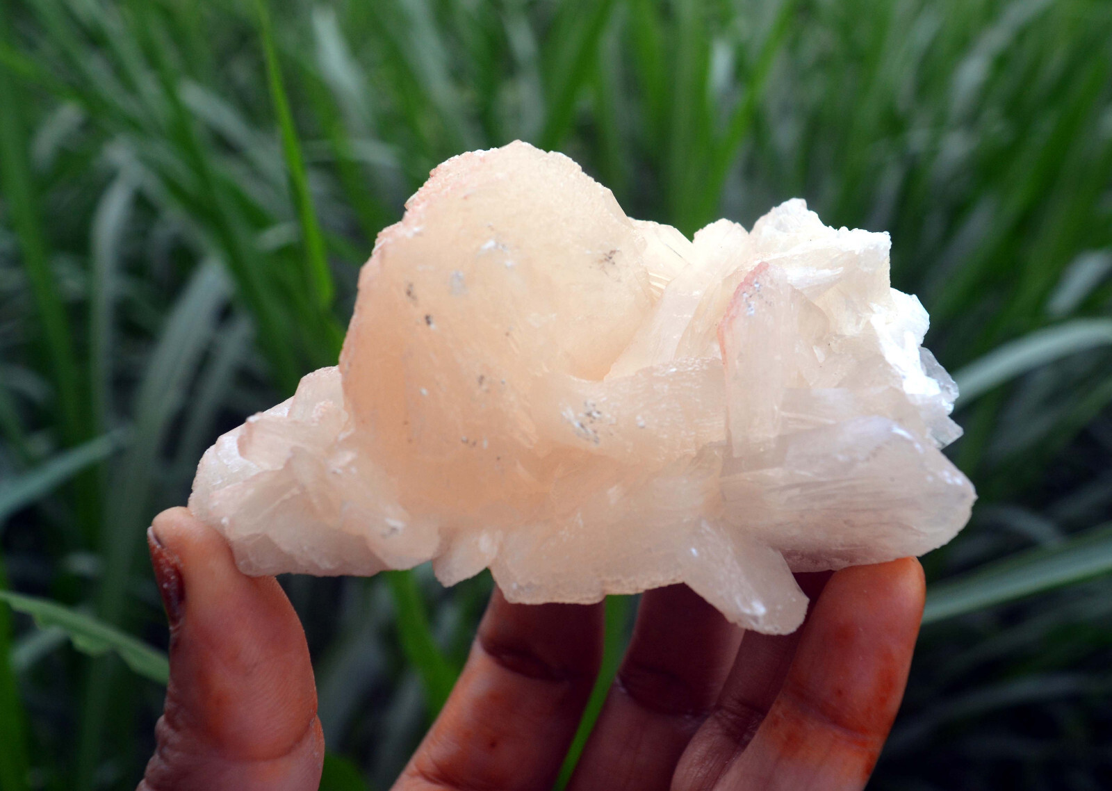 stilbite crystals w/ heulandite minerals specimen j-7