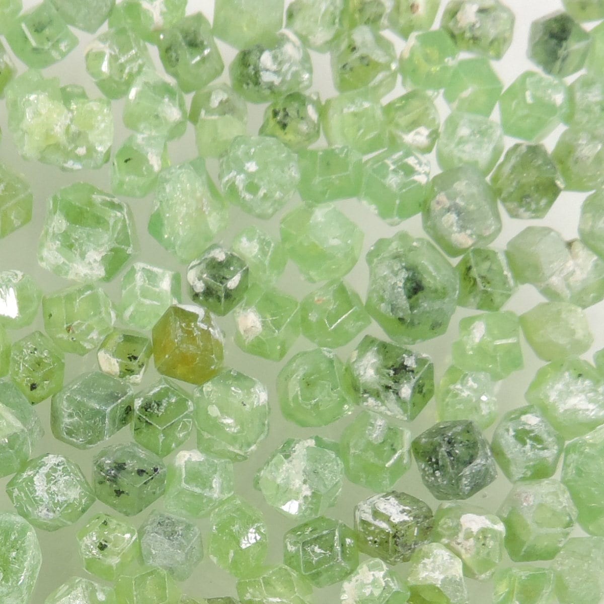 250 cts green demantoid garnet rough crystal lot Pakistan #06