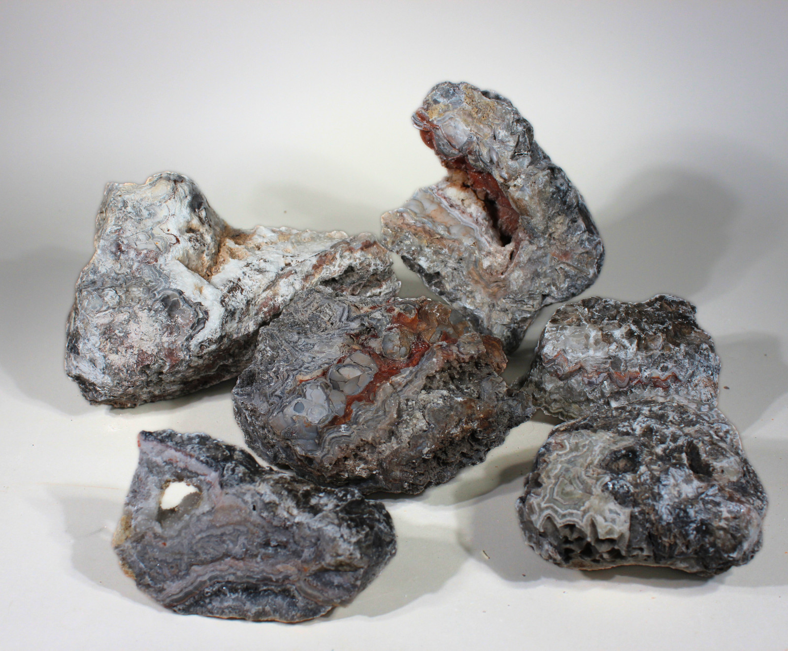 Tuxedo Lace Agate – “A” Grade Slabbing Rough – Bulk Wholesale Options