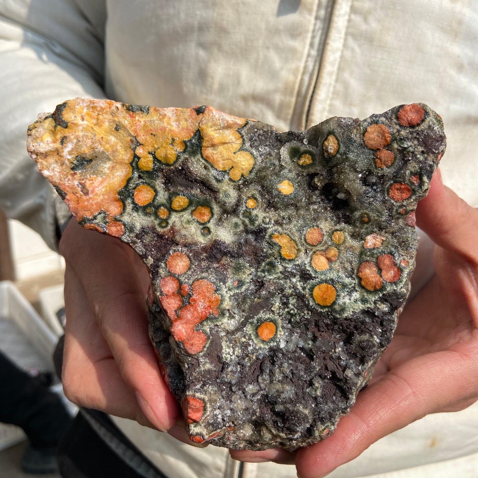 2.2lb Natural colourful ocean jasper raw stone crystal rough mineral specimen