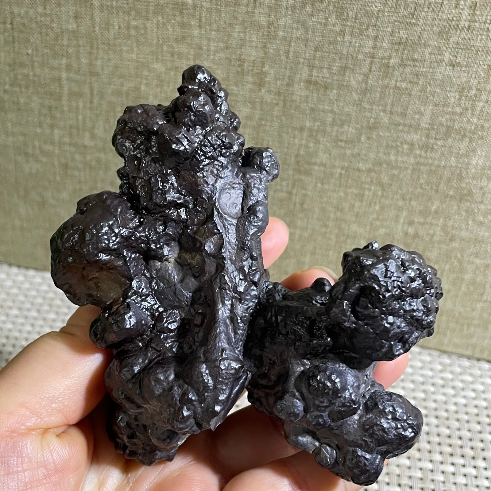 432g Limonite & Hematite pseudomorph after Marcasite Prophecy Rock Stone