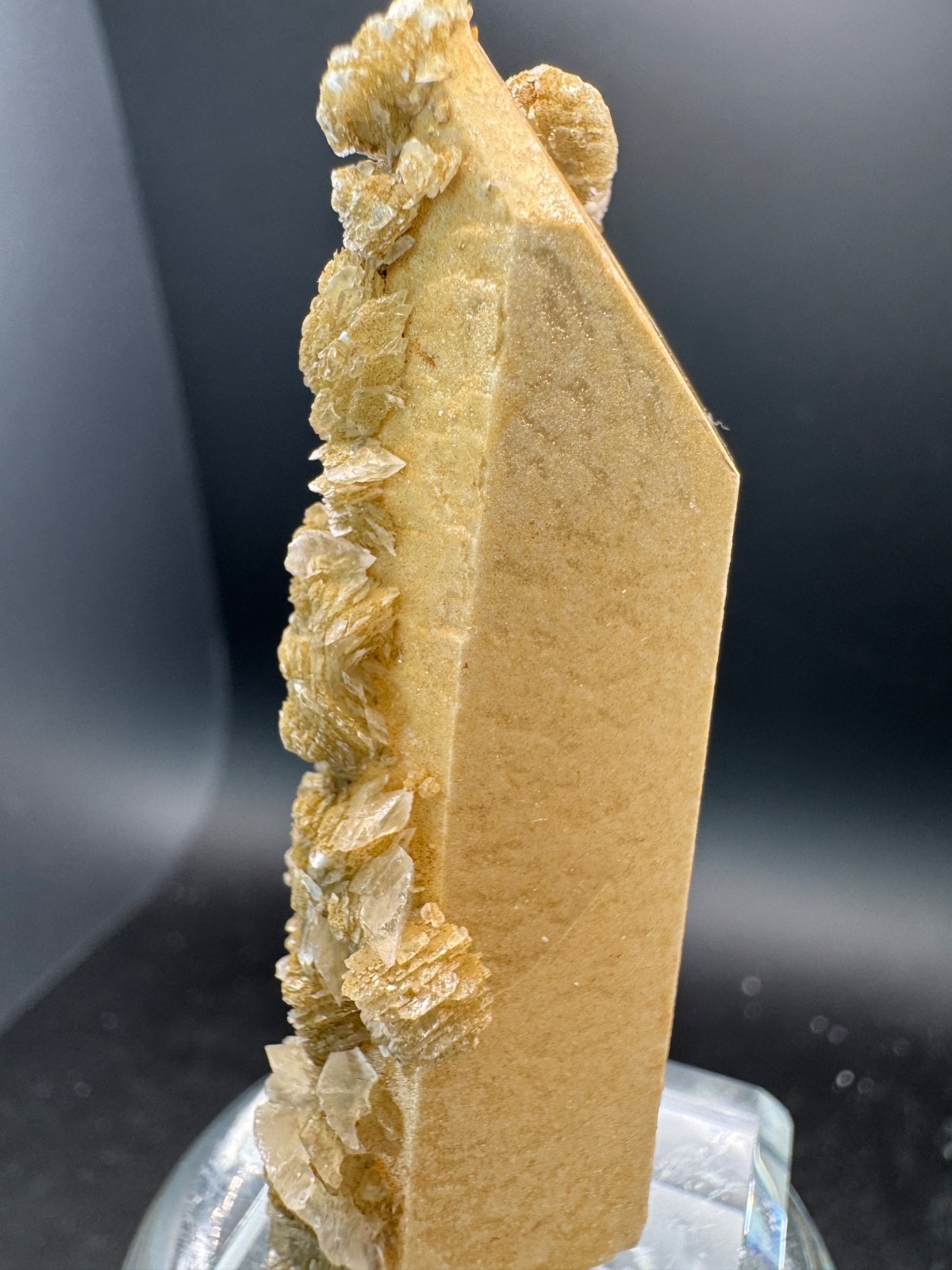 6525 Yellow Candle Quartz Point with Petal Calcite Inner Mongolia 40g