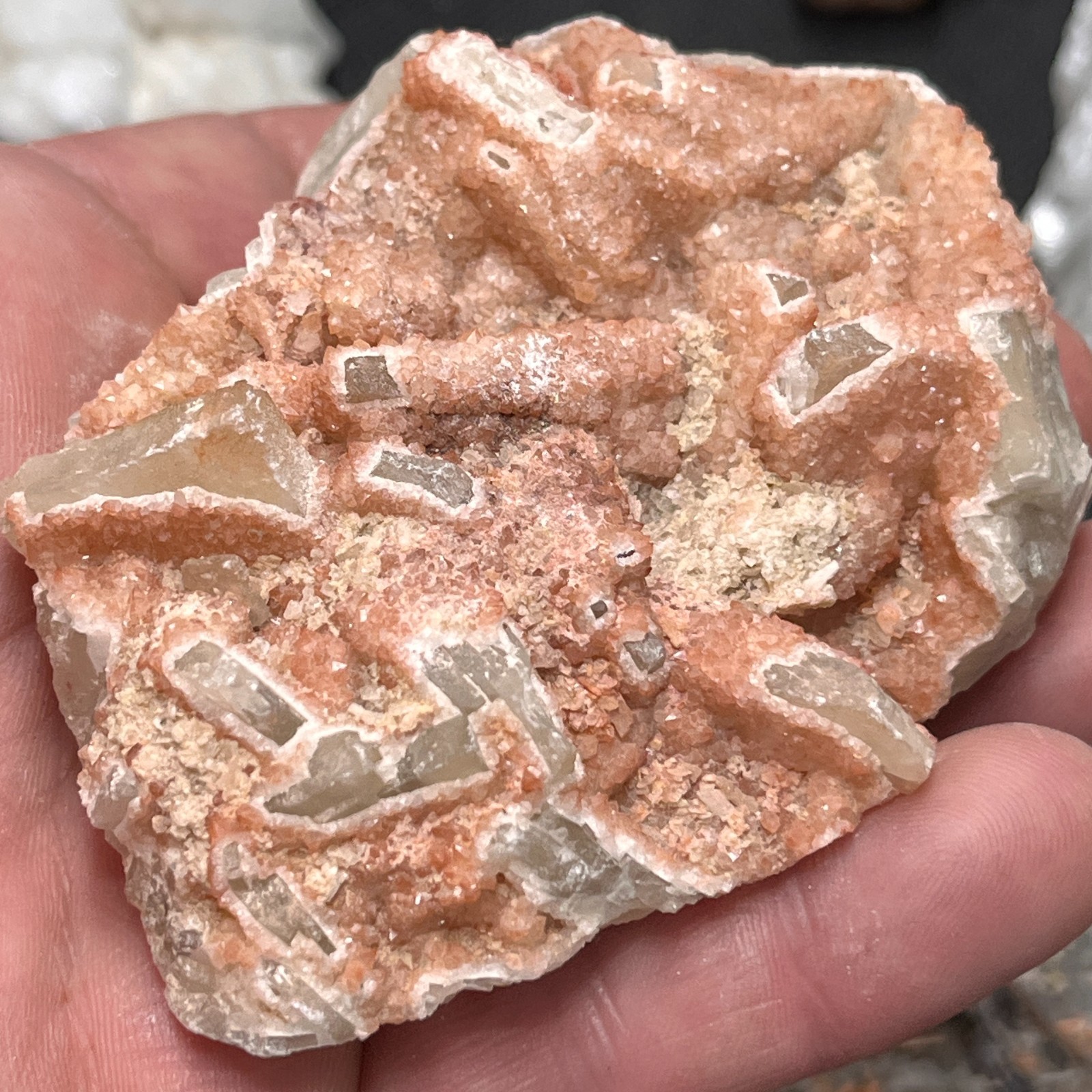 Crystals, Minerals, Natural Stone Specimens – MIXED ESTATE COLLECTION LOT #1198