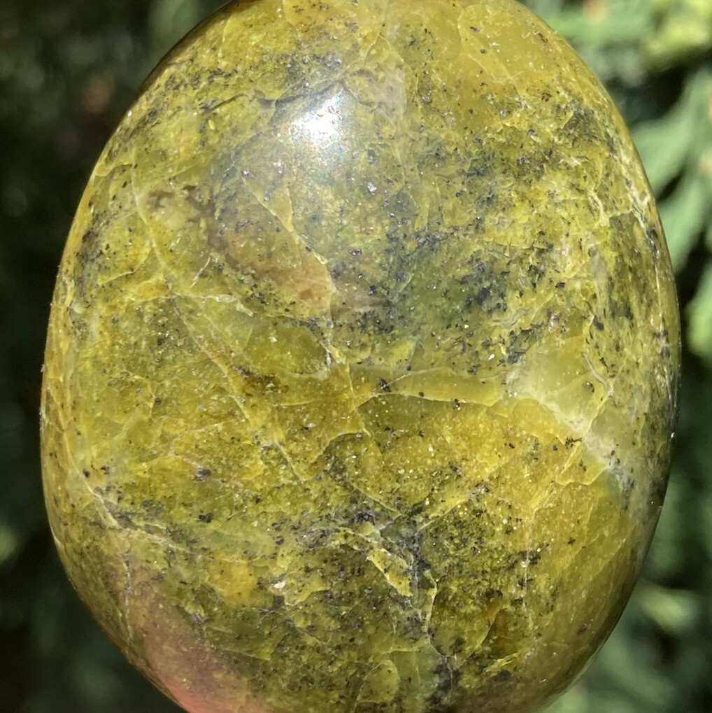 Handmade Polished GREEN OPAL Healing Crystal Palm Stone Pebble MADAGASCAR 2.28″