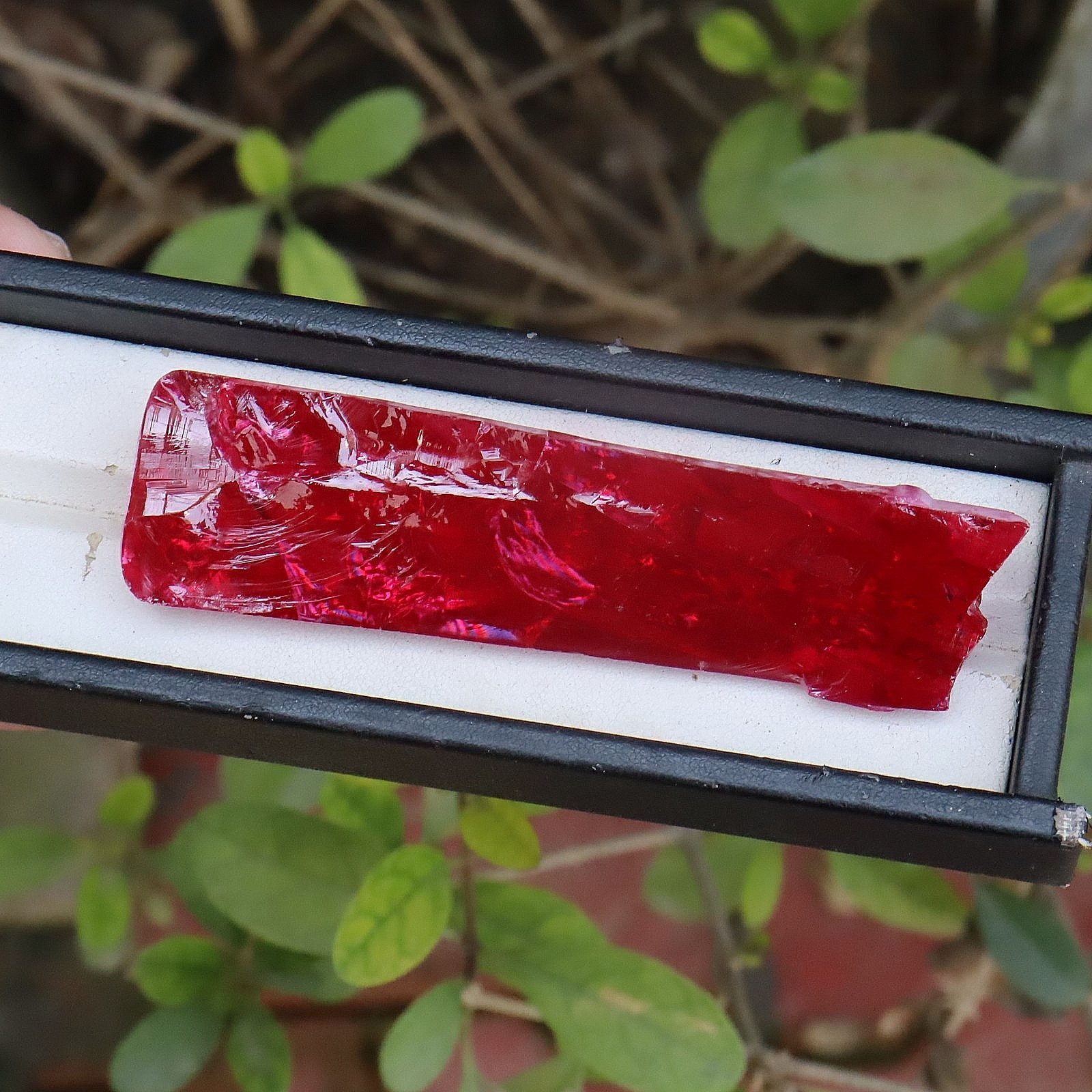 442 CTBURMA Red Ruby Rough Uncut Certified Loose Gemstone
