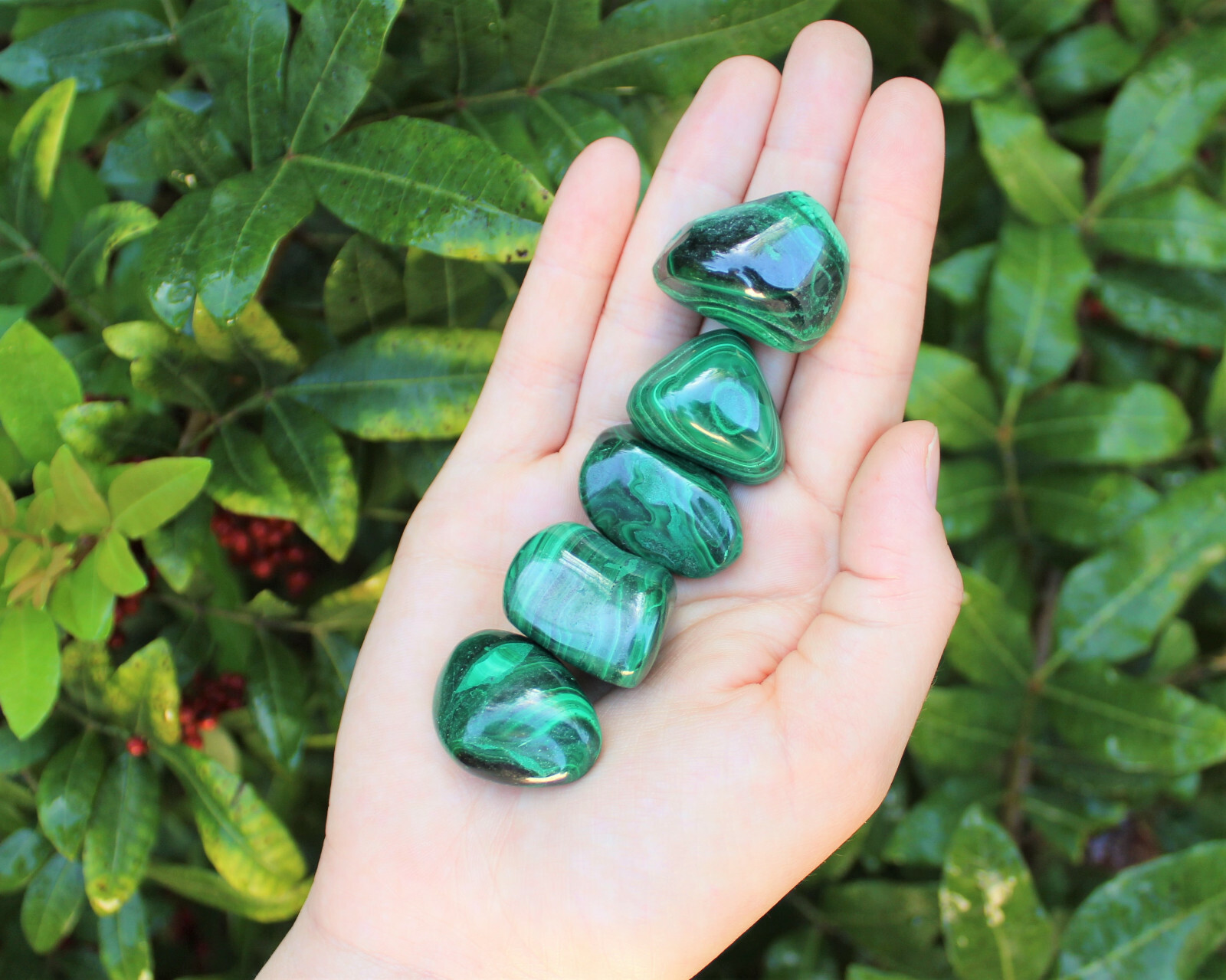 Bulk 1/2 lb Malachite Tumbled Stone: Crystal Healing Gemstone (1/2 Pound, 8 oz)