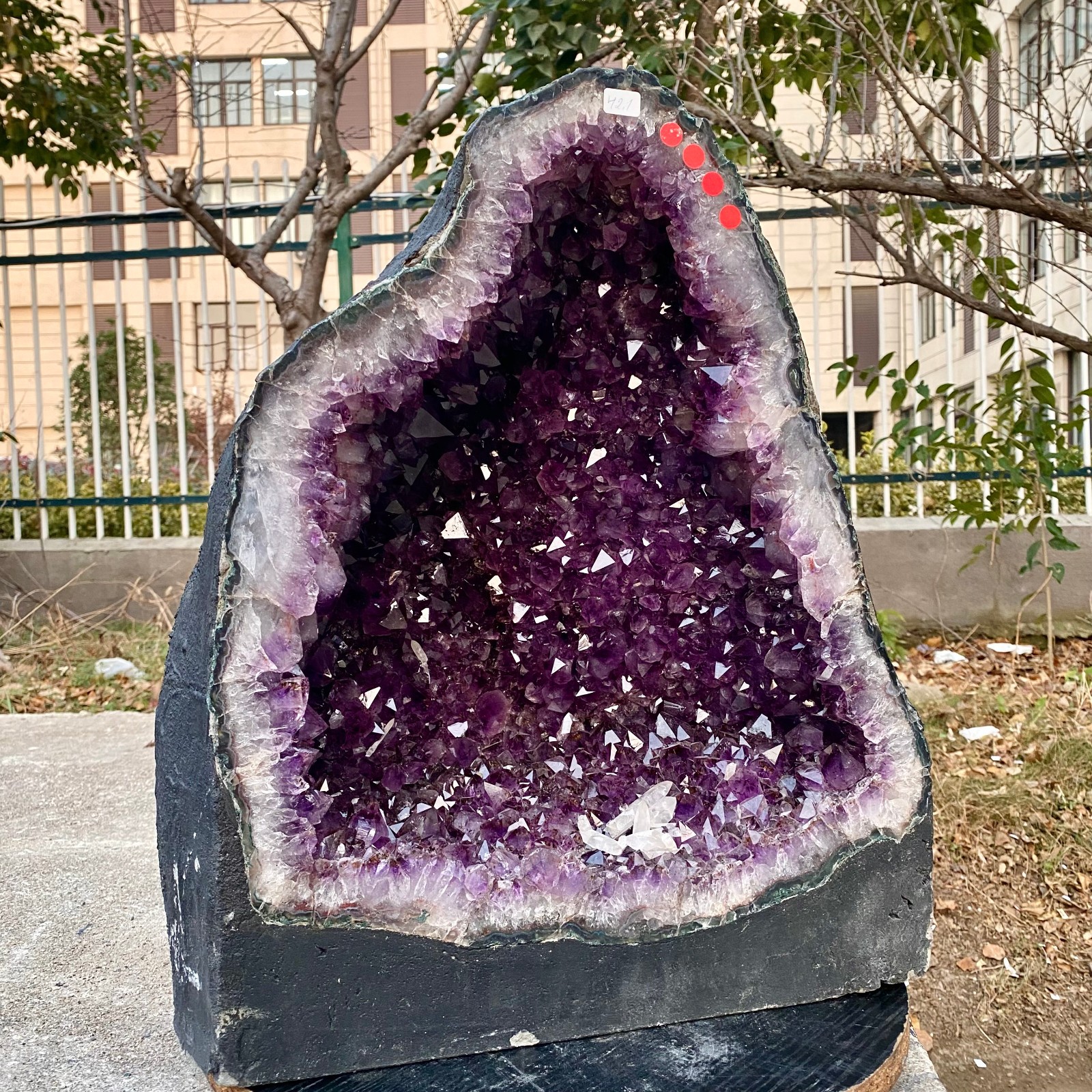 92.8LB Natural Amethyst Geode Quartz Crystal Cluster Cathedral Energy healing