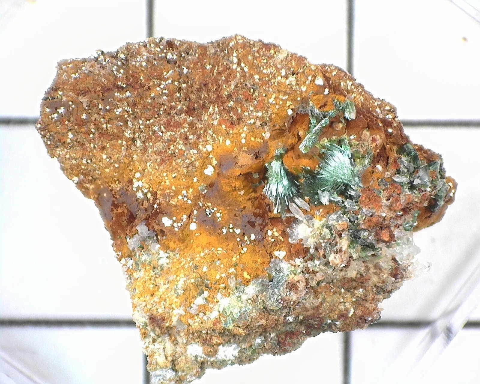 20442 MM Olivenite Smithsonite Lavreotiki East Attica Attica Greece 14187