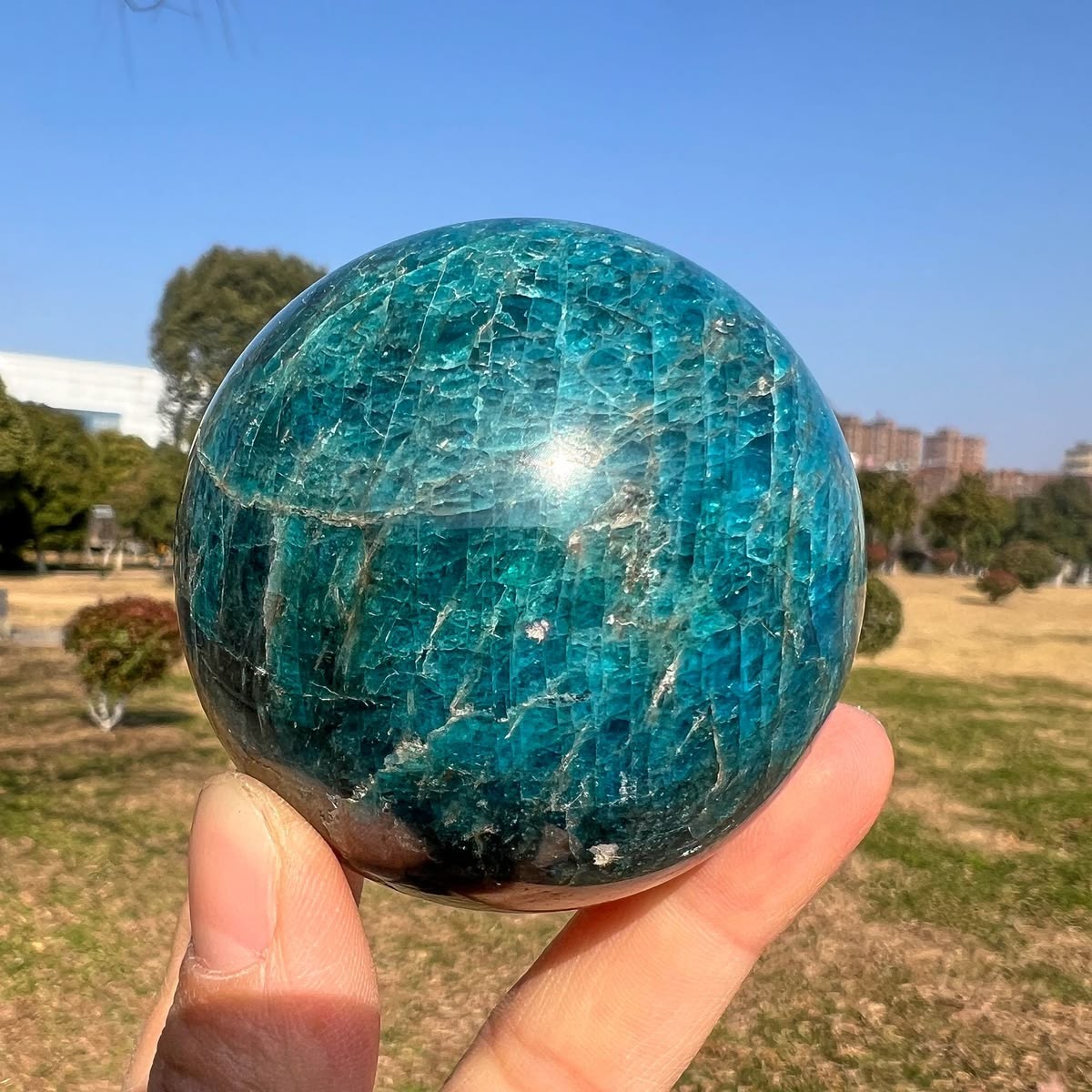 Random Flashy Blue Apatite Crystal Sphere Quartz Ball Healing Decor Gift Reiki