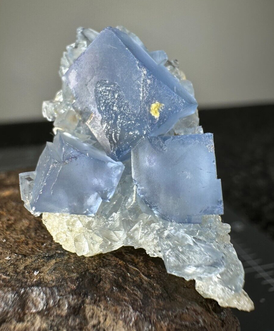 ➤ Thumbnail 1-3/8 Inch Blue FLUORITE CLUSTER Blanchard Mine New Mexico VIDEO➤405
