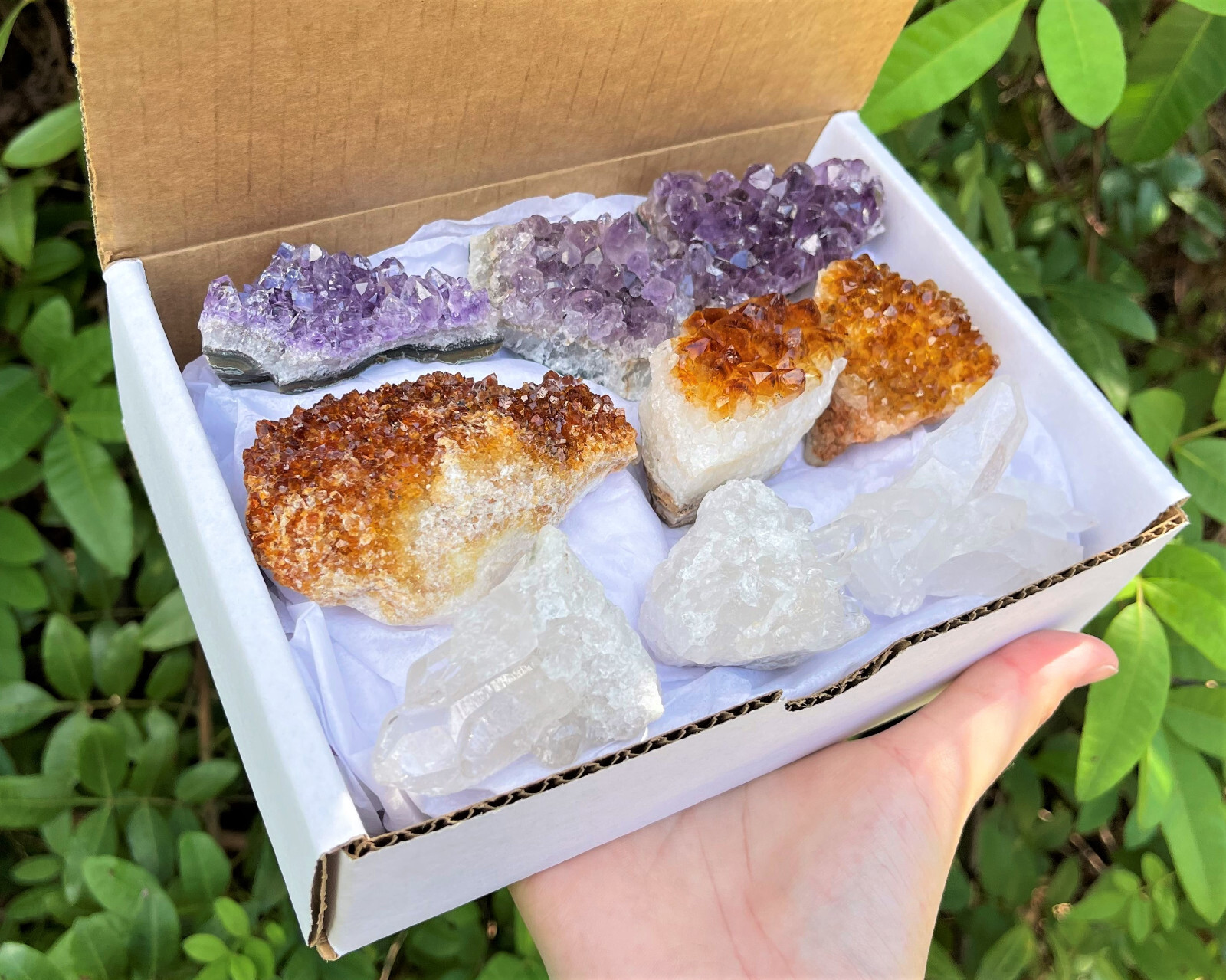 Bulk Citrine Amethyst Clear Quartz Crystal Clusters Box: 9-14 Piece Lot