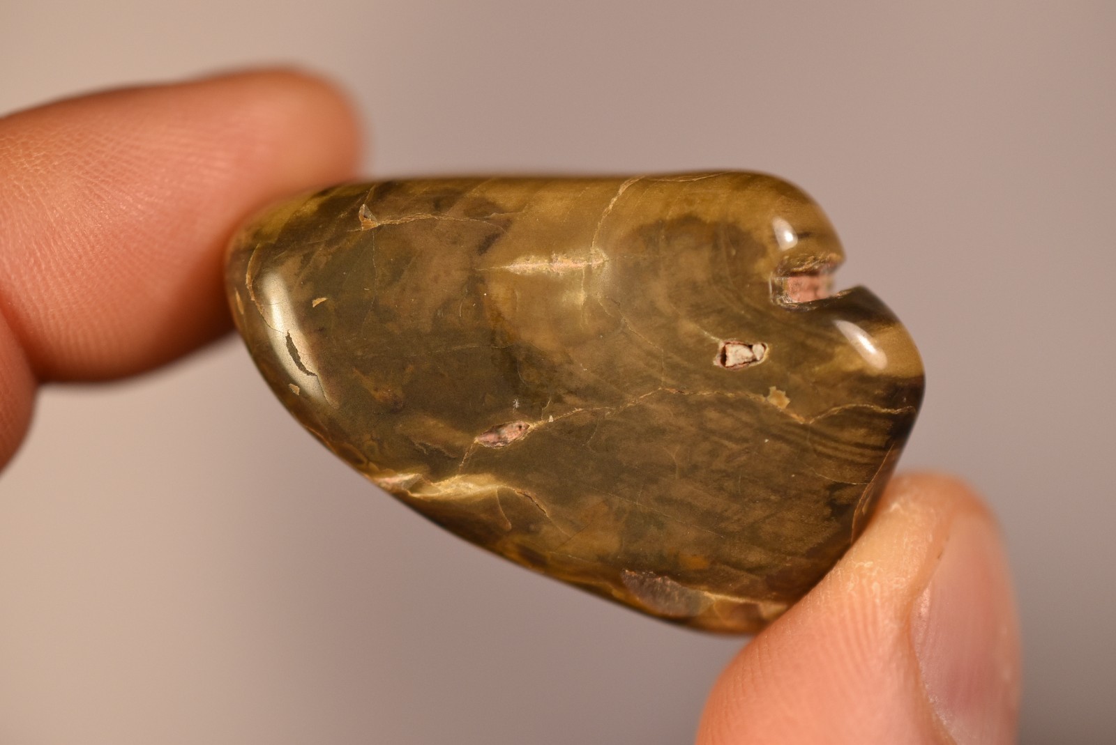 2 *AUSTRALIAN PETRIFIED WOOD* Tumbled Stones 4cm 58.2g Natural Stone QLD